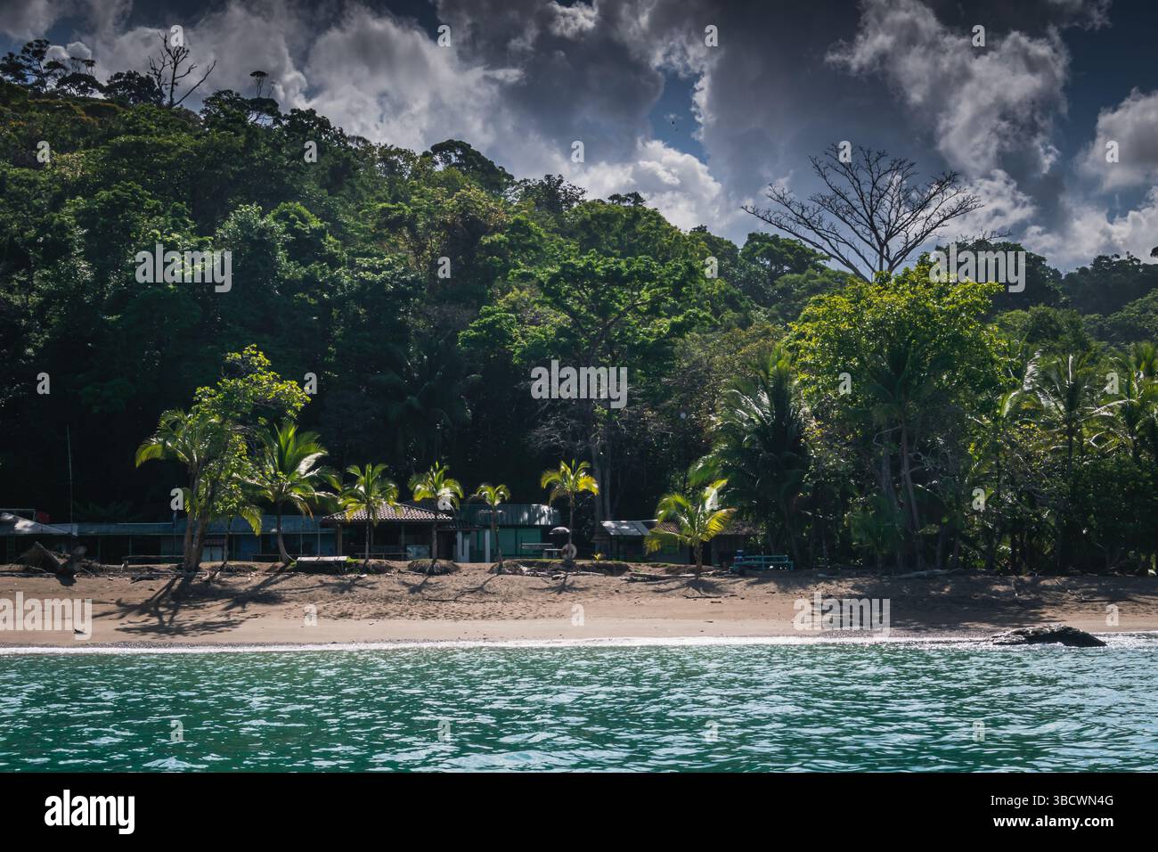 Un tranquillo fronte spiaggia con vegetazione lussureggiante e un cielo limpido, che suggerisce una tranquilla posizione tropicale. Foto Stock