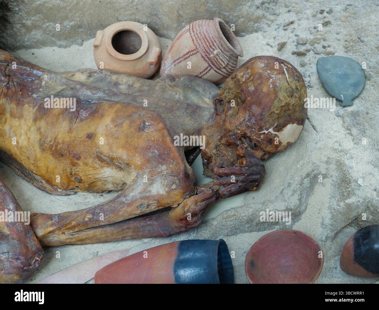 Gebelein uomo, una mummia naturale dal periodo Predynastic sepolto intorno 3500 BC, il British Museum di Londra, Regno Unito Foto Stock