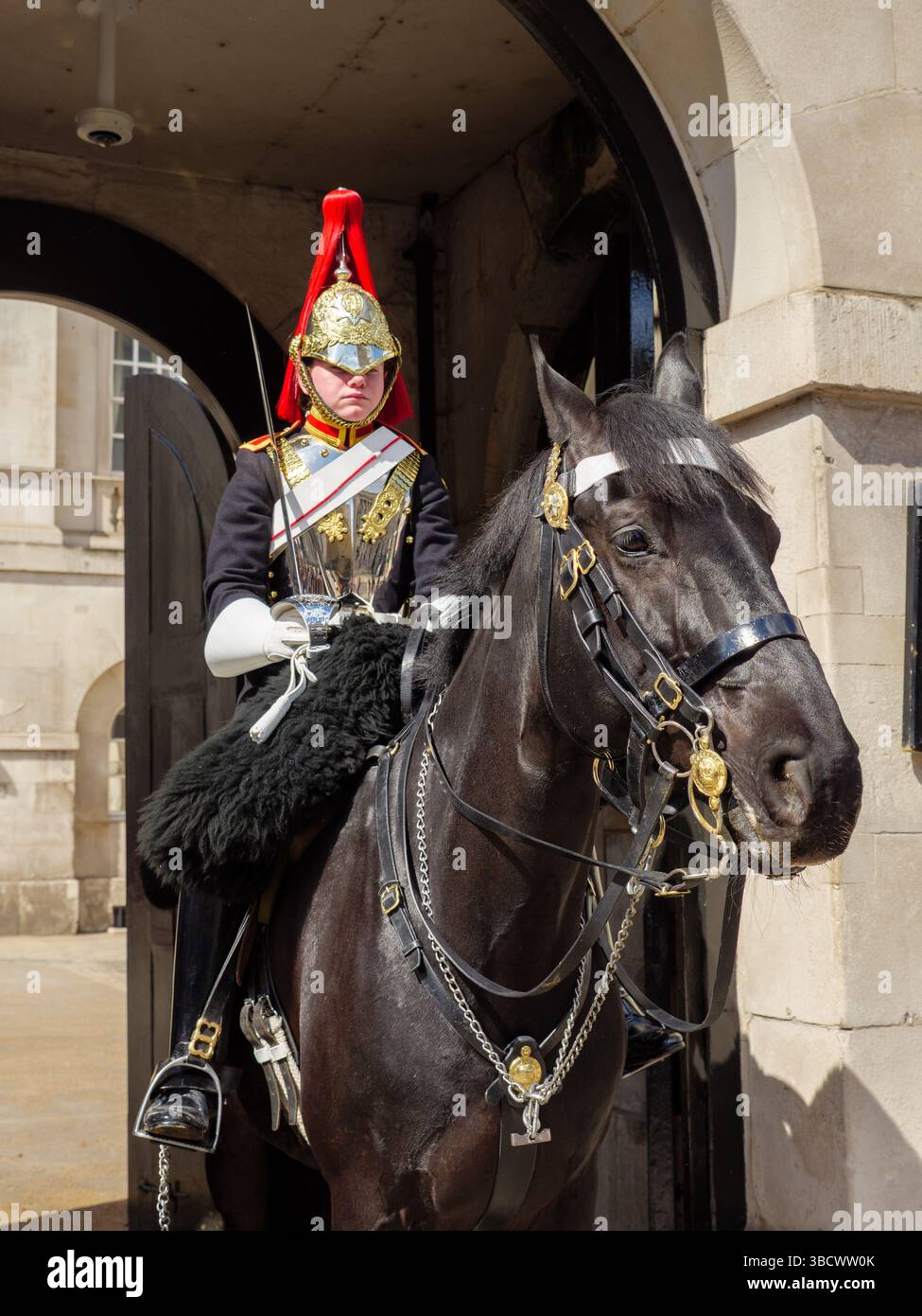 Household Cavalry Life Guards on a Horse, Whitehall, Londra, Regno Unito Foto Stock
