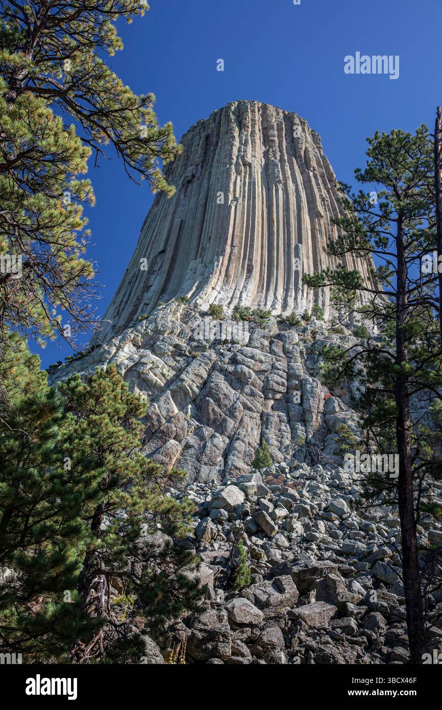 Il devil's Tower National Monument, una rara forma di roccia ignea, sorge fuori dal paesaggio del Wyoming, Stati Uniti. Foto Stock