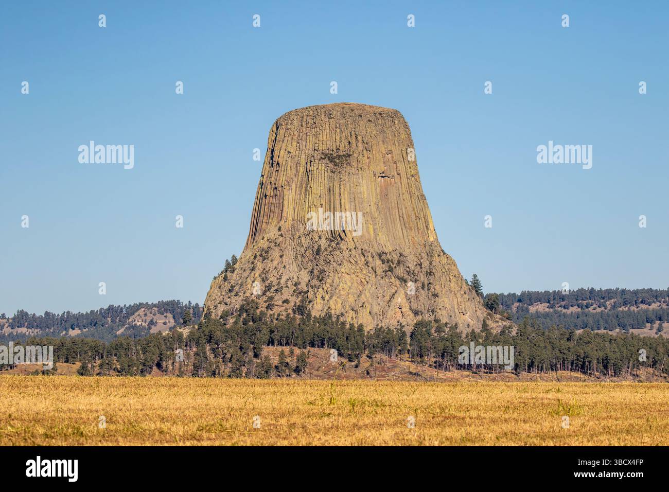 Il devil's Tower National Monument, una rara forma di roccia ignea, sorge fuori dal paesaggio del Wyoming, Stati Uniti. Foto Stock