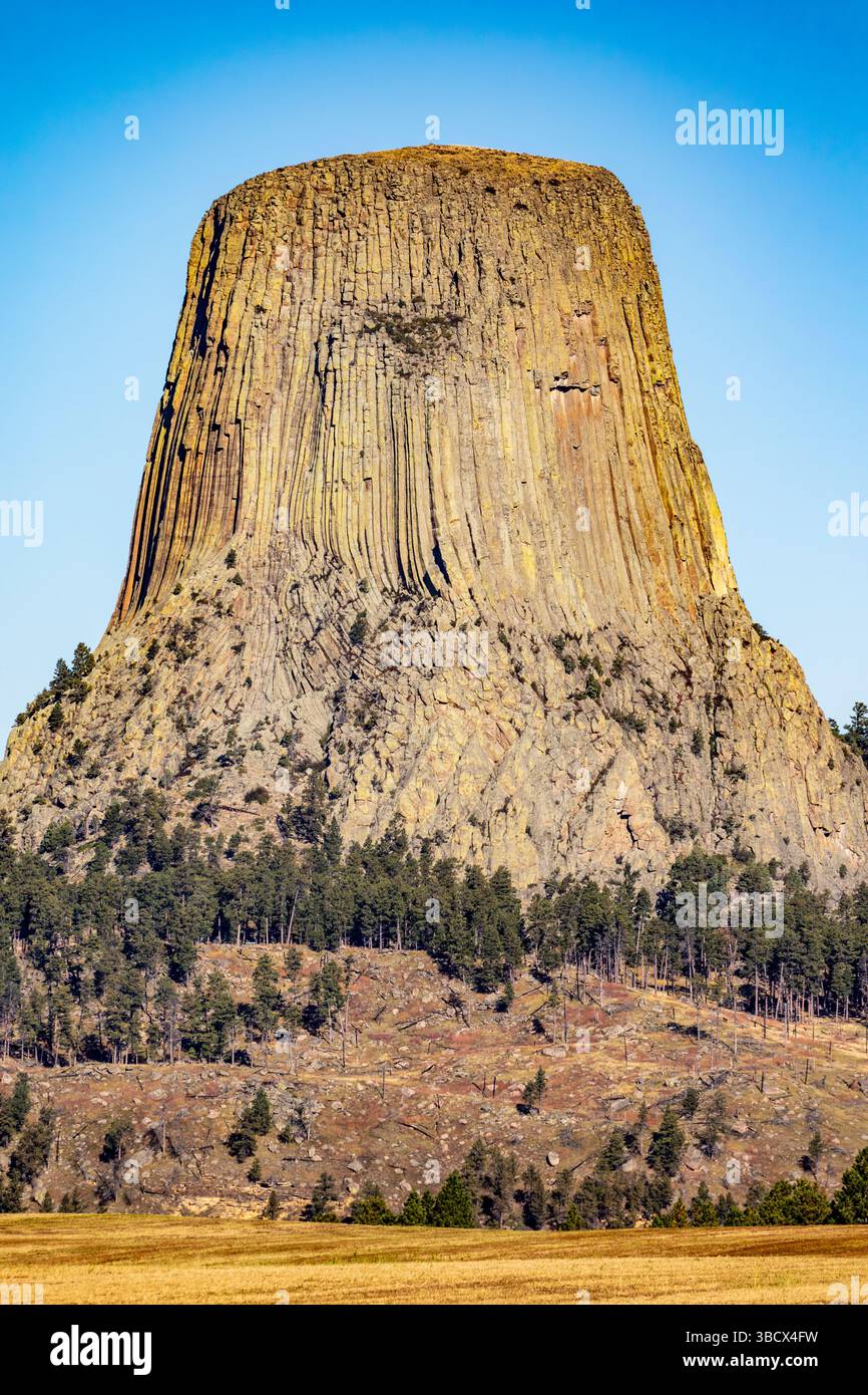 Il devil's Tower National Monument, una rara forma di roccia ignea, sorge fuori dal paesaggio del Wyoming, Stati Uniti. Foto Stock