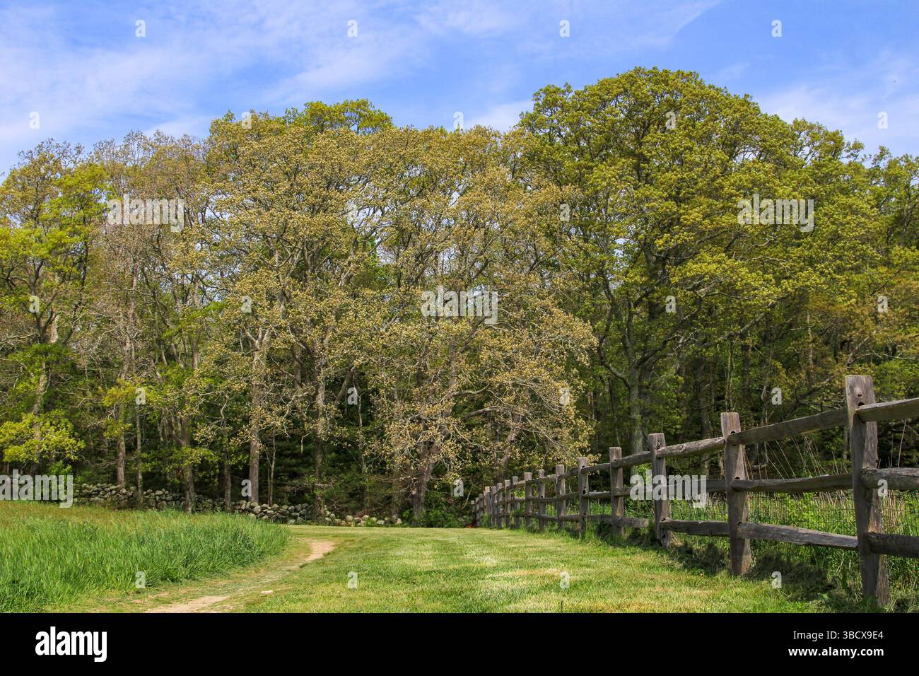Il fascino del New England: I campi verdi incontrano strade secondarie non asfaltate, che si snodano tra mura di pietra. Pura serenità di campagna. Foto Stock