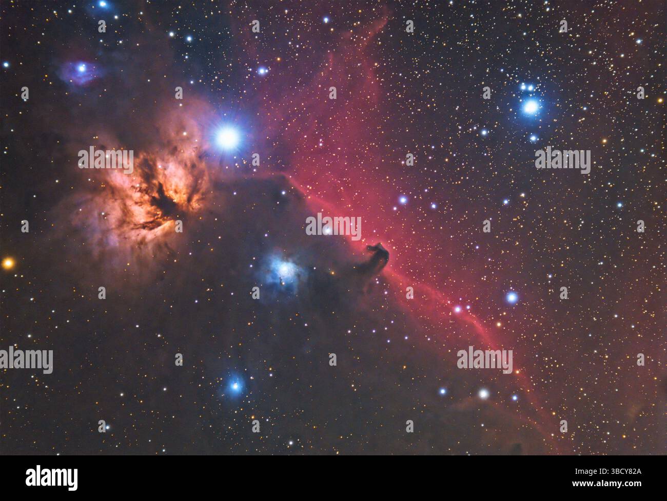 Vivace rappresentazione dell'iconica Nebulosa a testa di cavallo con stelle scintillanti, formazioni gassose e polvere cosmica in colori vivaci Foto Stock