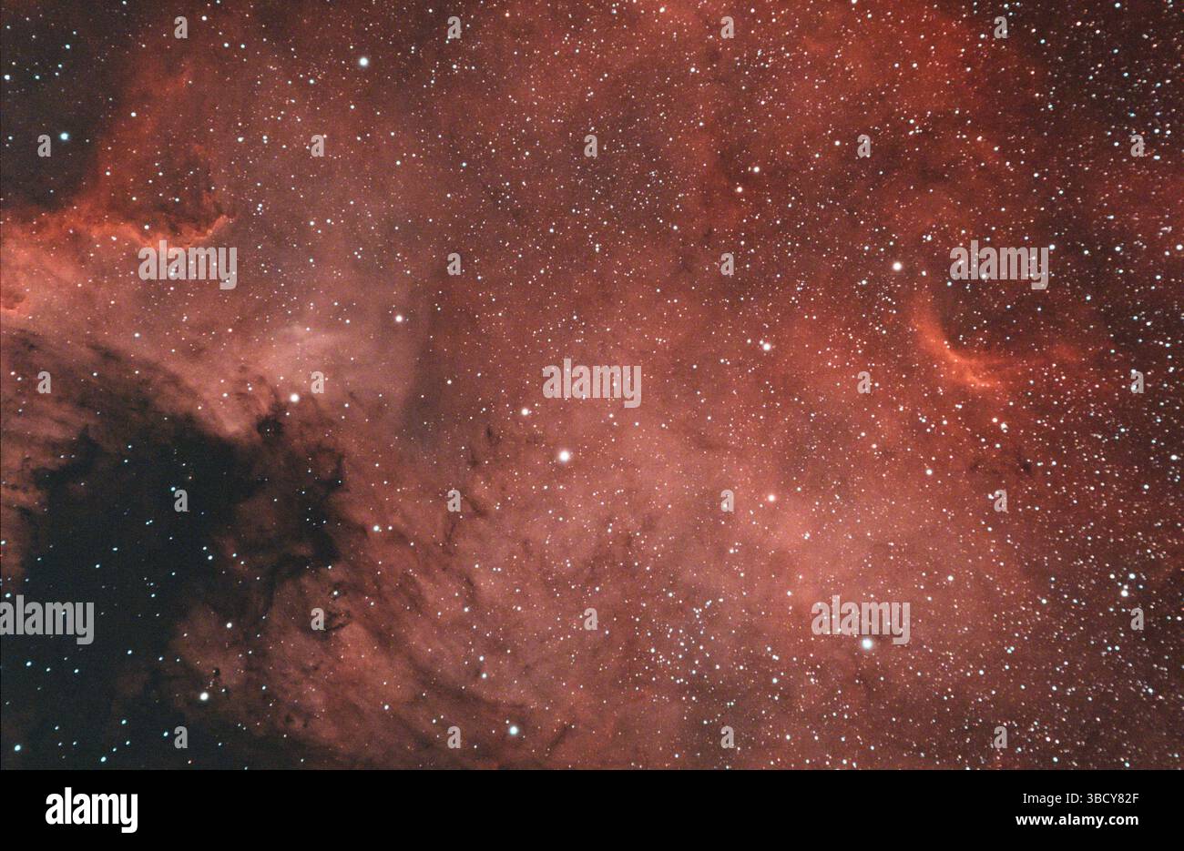 La Nebulosa del Nord America (NGC 7000, Caldwell 20) è una nebulosa di emissione nella costellazione di Cygnus, vicino a Deneb Foto Stock