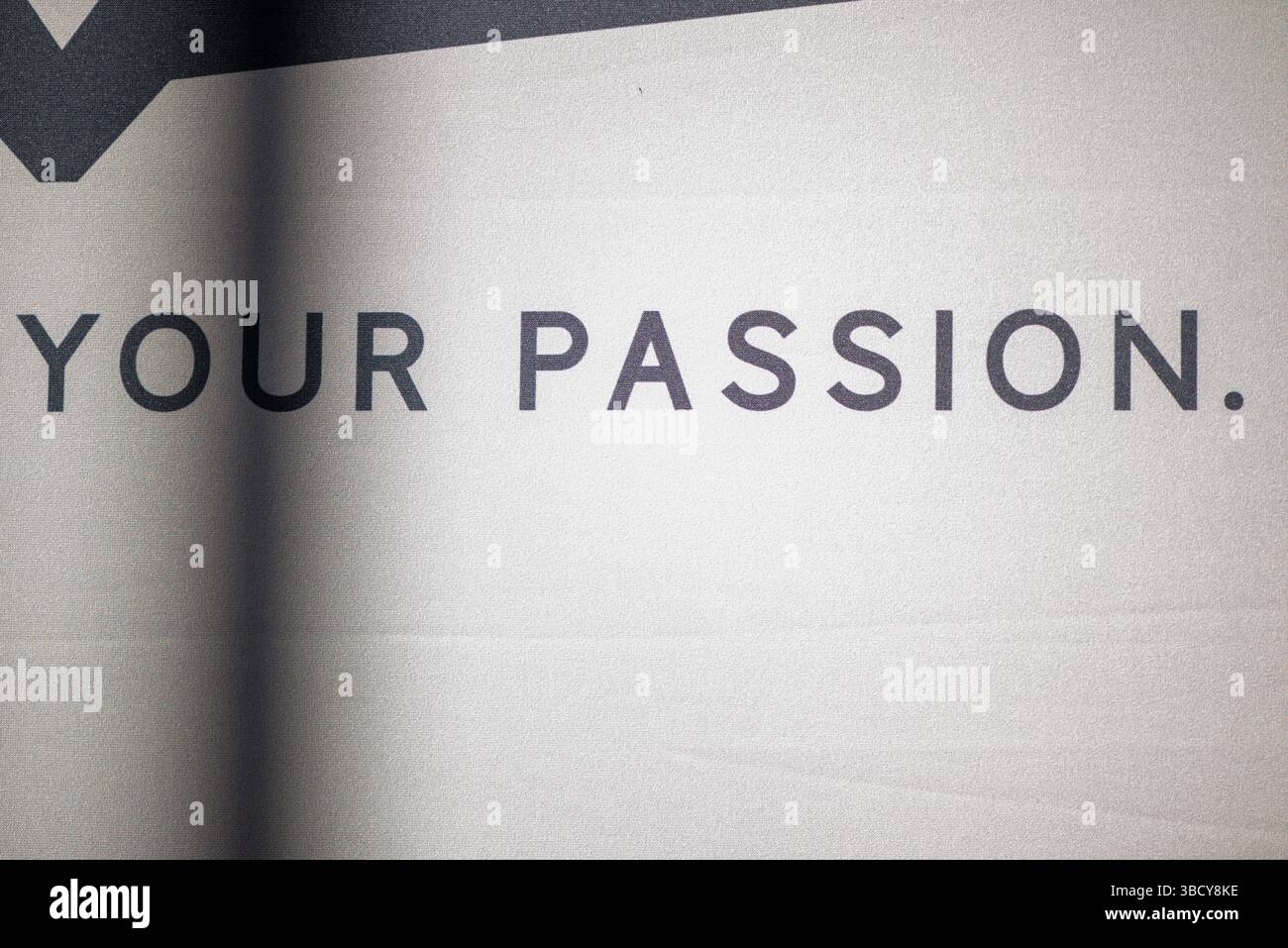 Uno sfondo bianco e pulito con la frase "la tua passione" scritta in un'elegante e moderna tipografia. Foto Stock