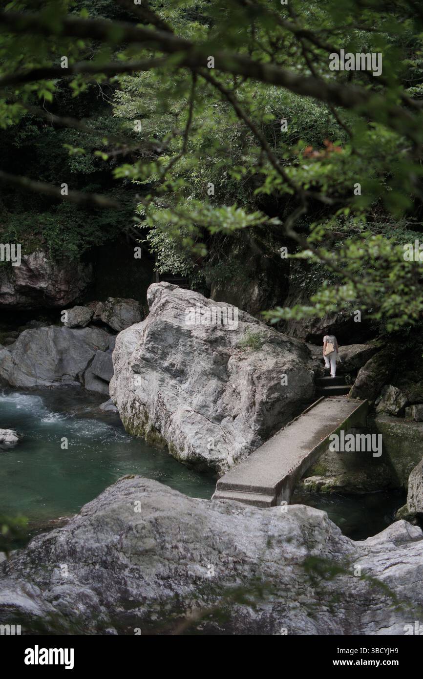 La vista panoramica della gola di Nakatsu durante l'estate si trova a Kochi, in Giappone. Foto Stock