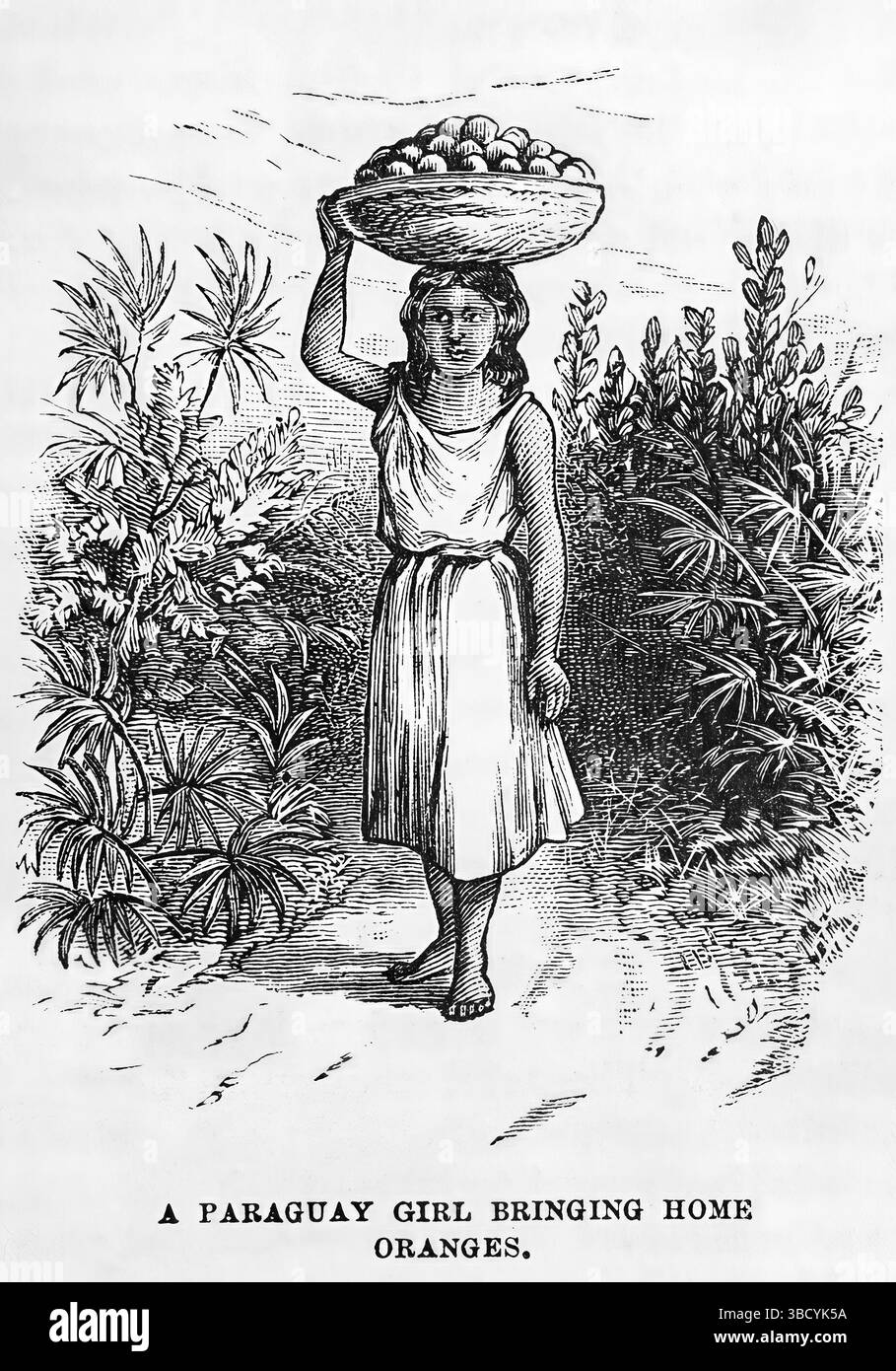 Una ragazza del Paraguay che porta a casa arance (1878). Illustrazione del XIX secolo dal Popular Monthly di Frank Leslie Foto Stock