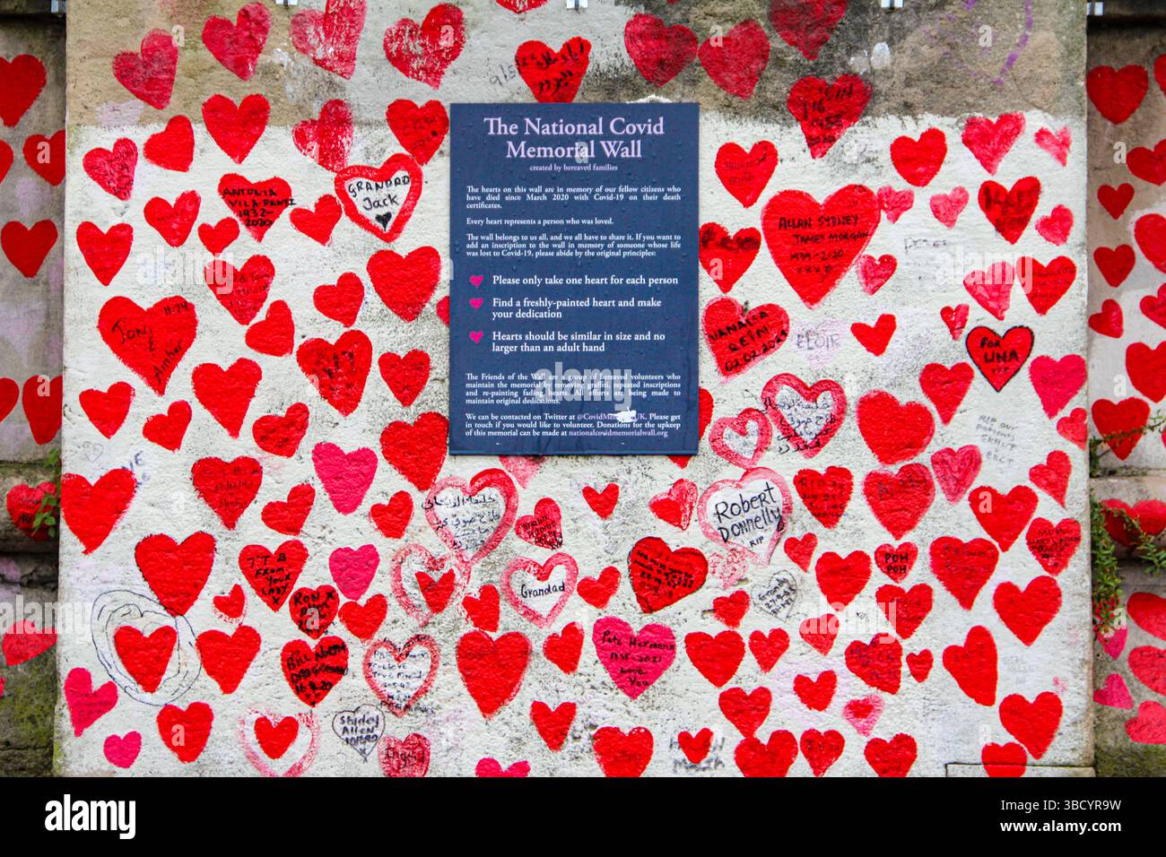 Albert Embankment, Lambeth Palace Rd, calorosa targa tributo tra migliaia di cuori rossi al National COVID Memorial Wall di Londra. Foto Stock