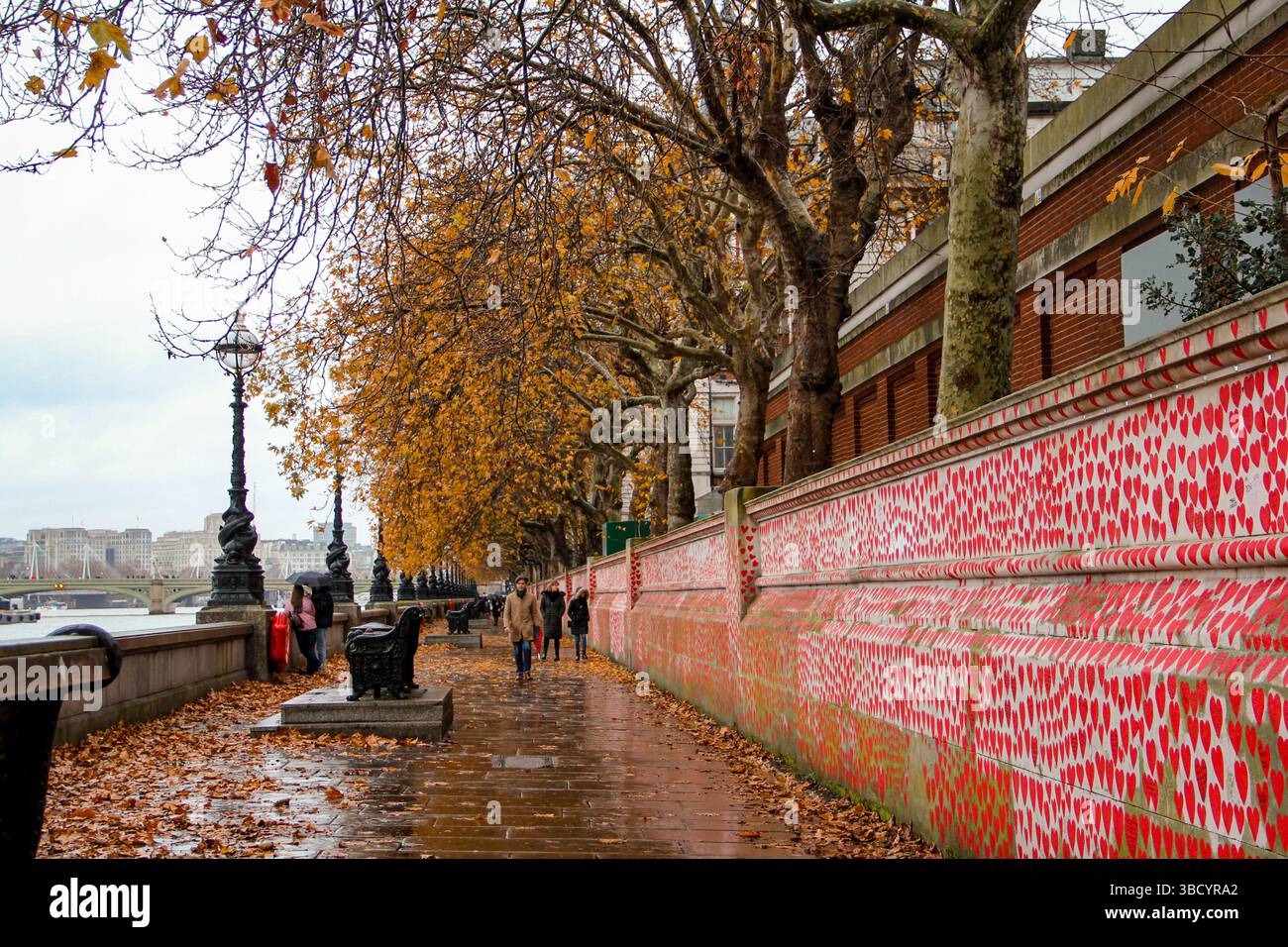 Albert Embankment, Lambeth Palace Rd, passeggiata sul fiume Tamigi accanto al National COVID Memorial Wall in autunno con foglie dorate che cadono su una pioggia Foto Stock