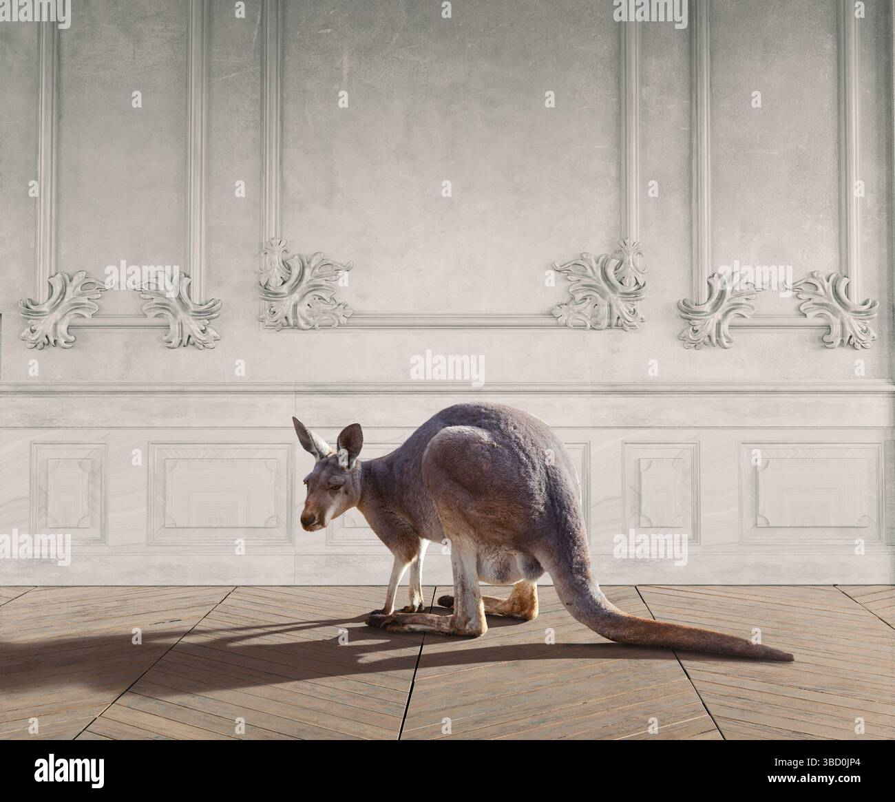 Canguro che si erge su eleganti pareti bianche. Rendering 3D. Foto Stock