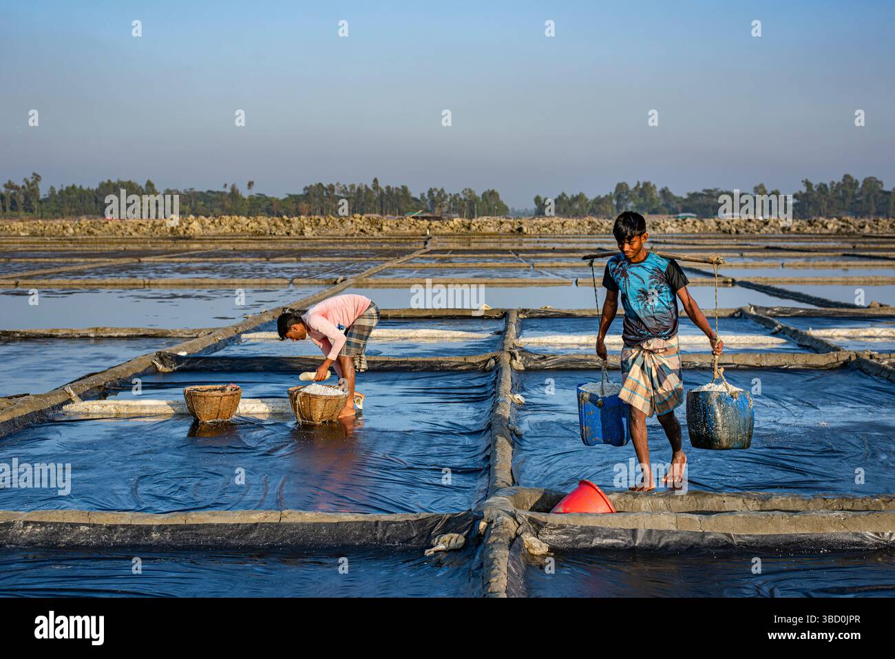Lavoratore che raccoglie sale in un giacimento di sale in Bangladesh. Un allevamento di sale in Bangladesh. Il sale viene raccolto principalmente nelle aree costiere di Cox's Bazar e Chattogra Foto Stock