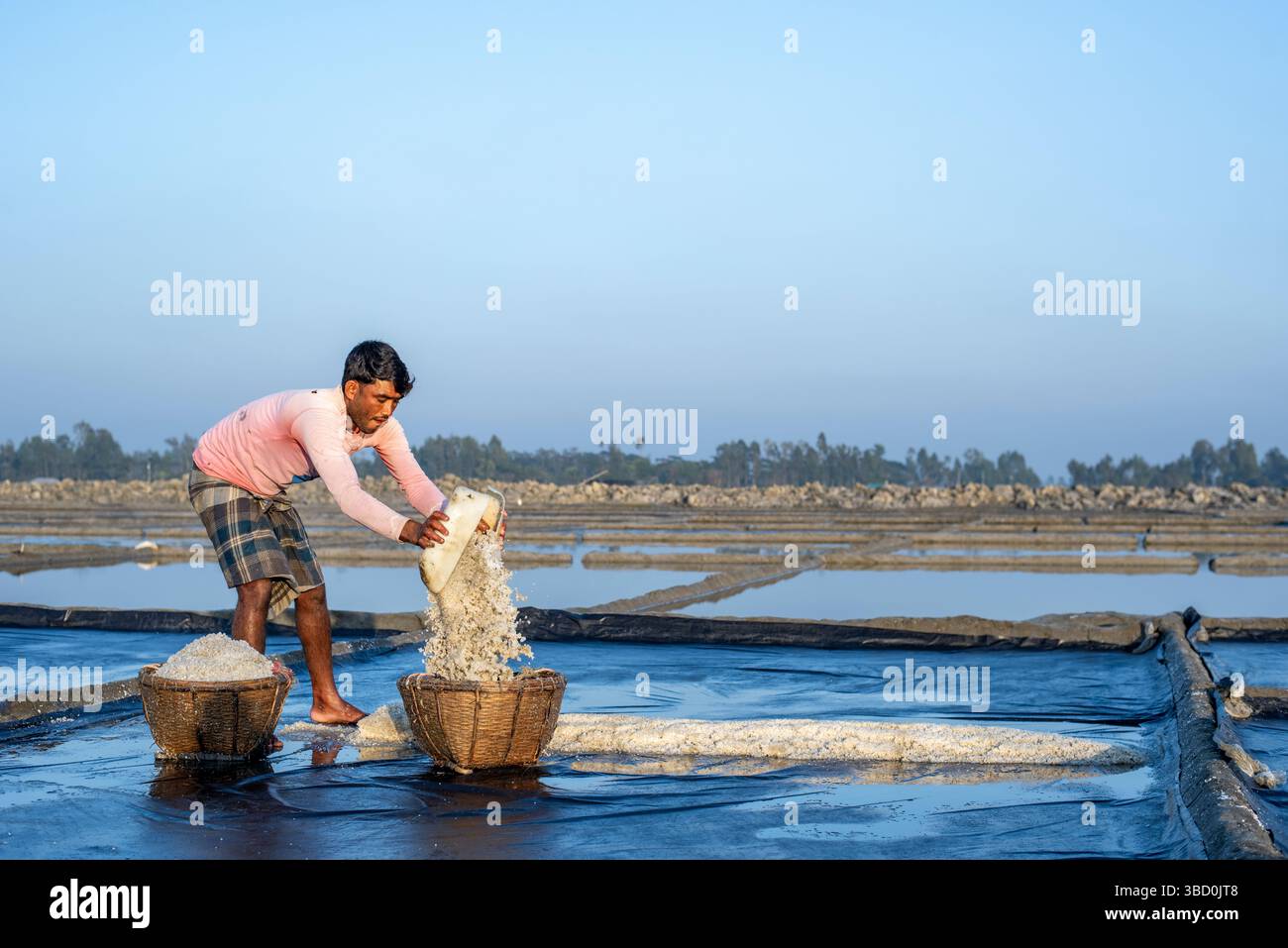 Lavoratore che raccoglie sale in un giacimento di sale in Bangladesh. Un allevamento di sale in Bangladesh. Il sale viene raccolto principalmente nelle aree costiere di Cox's Bazar e Chattogra Foto Stock