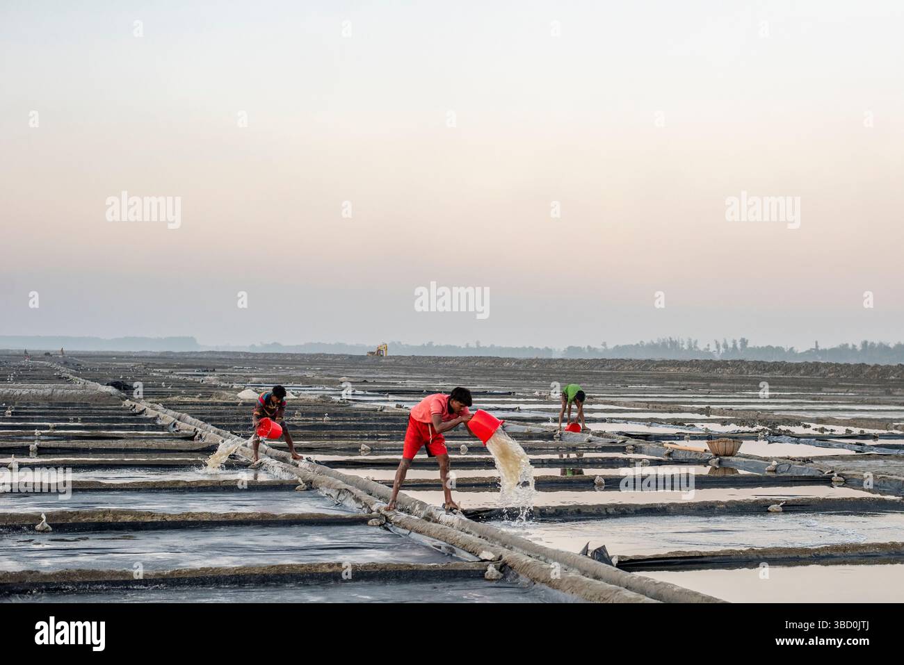 Lavoratore che raccoglie sale in un giacimento di sale in Bangladesh. Un allevamento di sale in Bangladesh. Il sale viene raccolto principalmente nelle aree costiere di Cox's Bazar e Chattogra Foto Stock