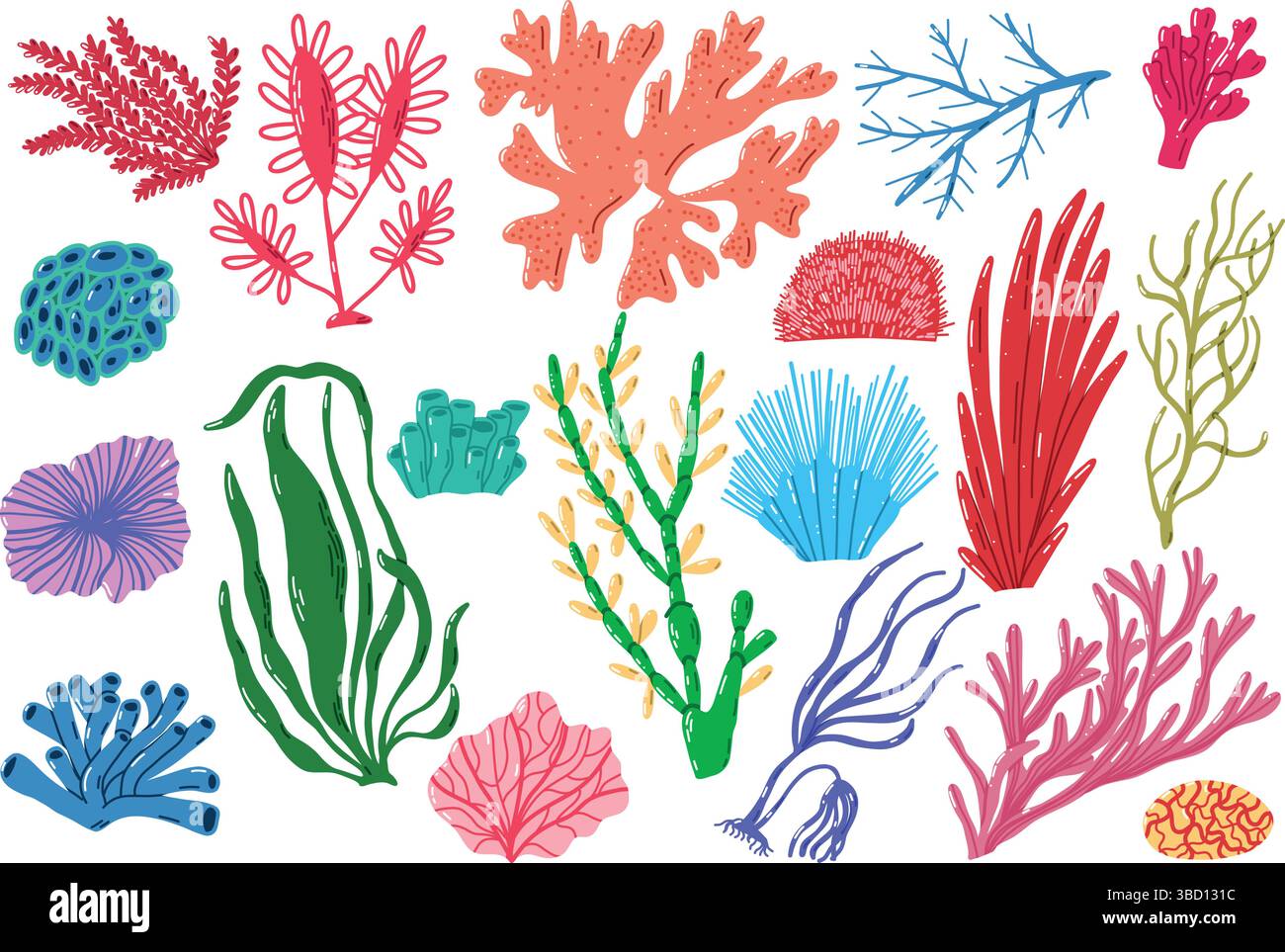 Colorate illustrazioni di alghe marine e coralli che rappresentano la diversità della vita oceanica Illustrazione Vettoriale