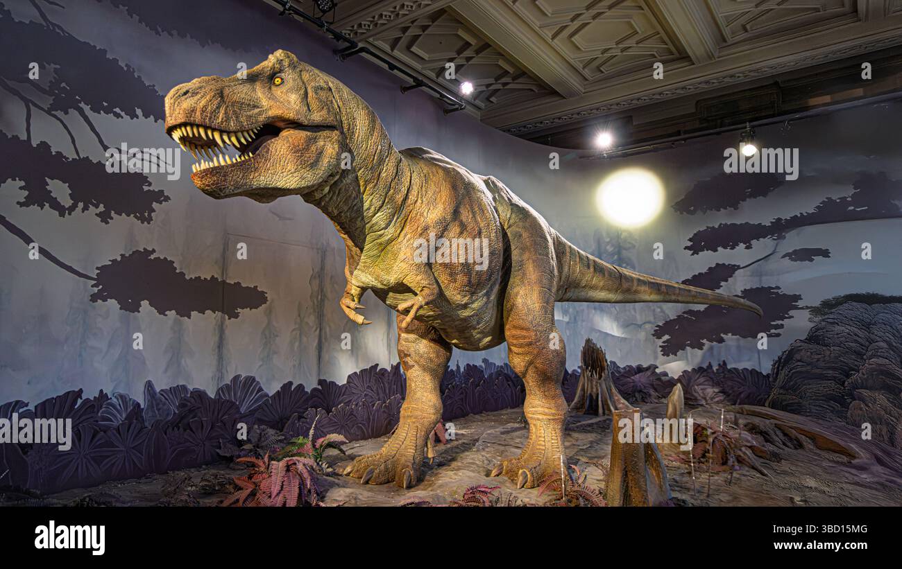 Londra, Inghilterra - 20 aprile 2025: Tyrannosaurus Rex - Un modello meccanico a grandezza naturale in mostra all'interno del Museo di storia naturale Foto Stock