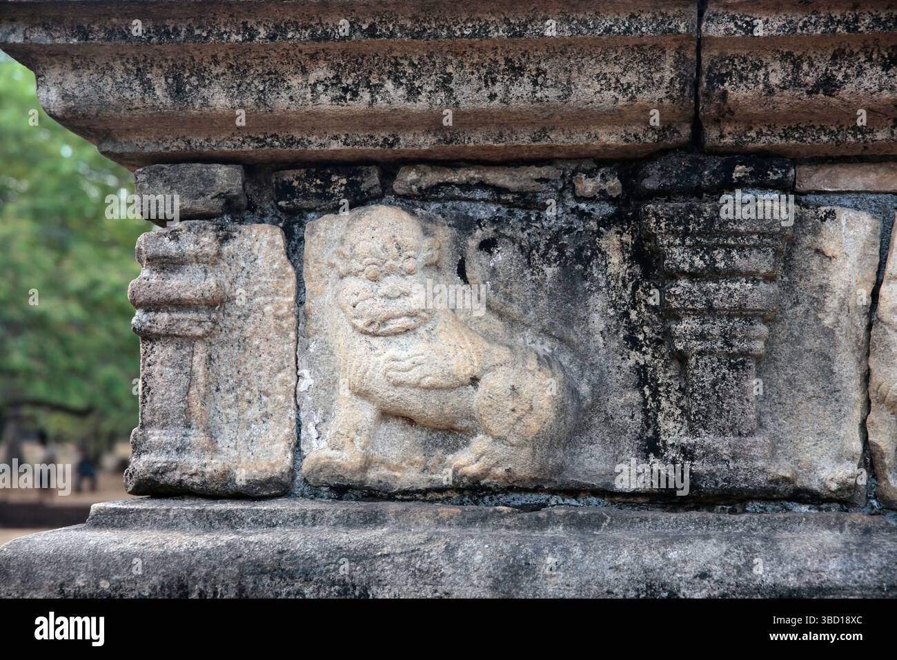 Scultura in pietra in stile bassorilievo sull'antica camera del canile, Polonnaruwa. Sri Lanka. Foto Stock