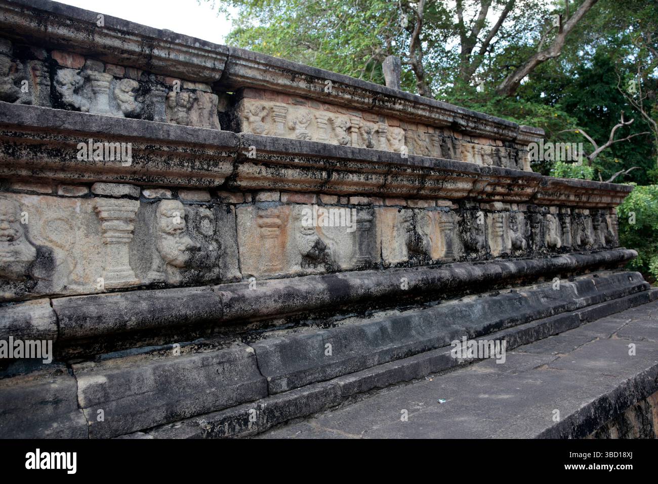 Scultura in pietra in stile bassorilievo sull'antica camera del canile, Polonnaruwa. Sri Lanka. Foto Stock