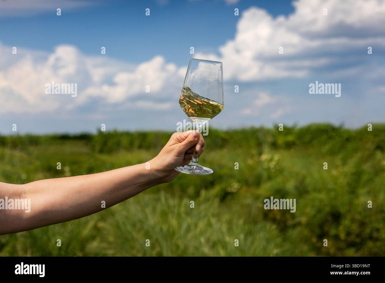 Un'immagine suggestiva di un brindisi sotto il sole, con un bicchiere di vino bianco che riflette la luce. Perfetto per concetti di vacanza, libertà, prodotti locali Foto Stock