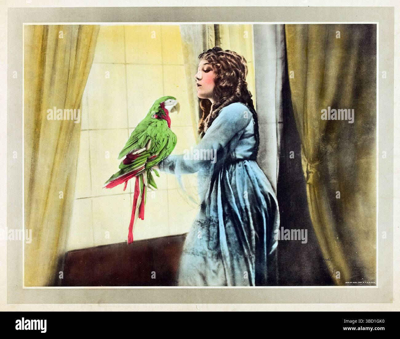 Mary Pickford e un pappagallo (United Artists, 1918). Poster in stile personalità Foto Stock