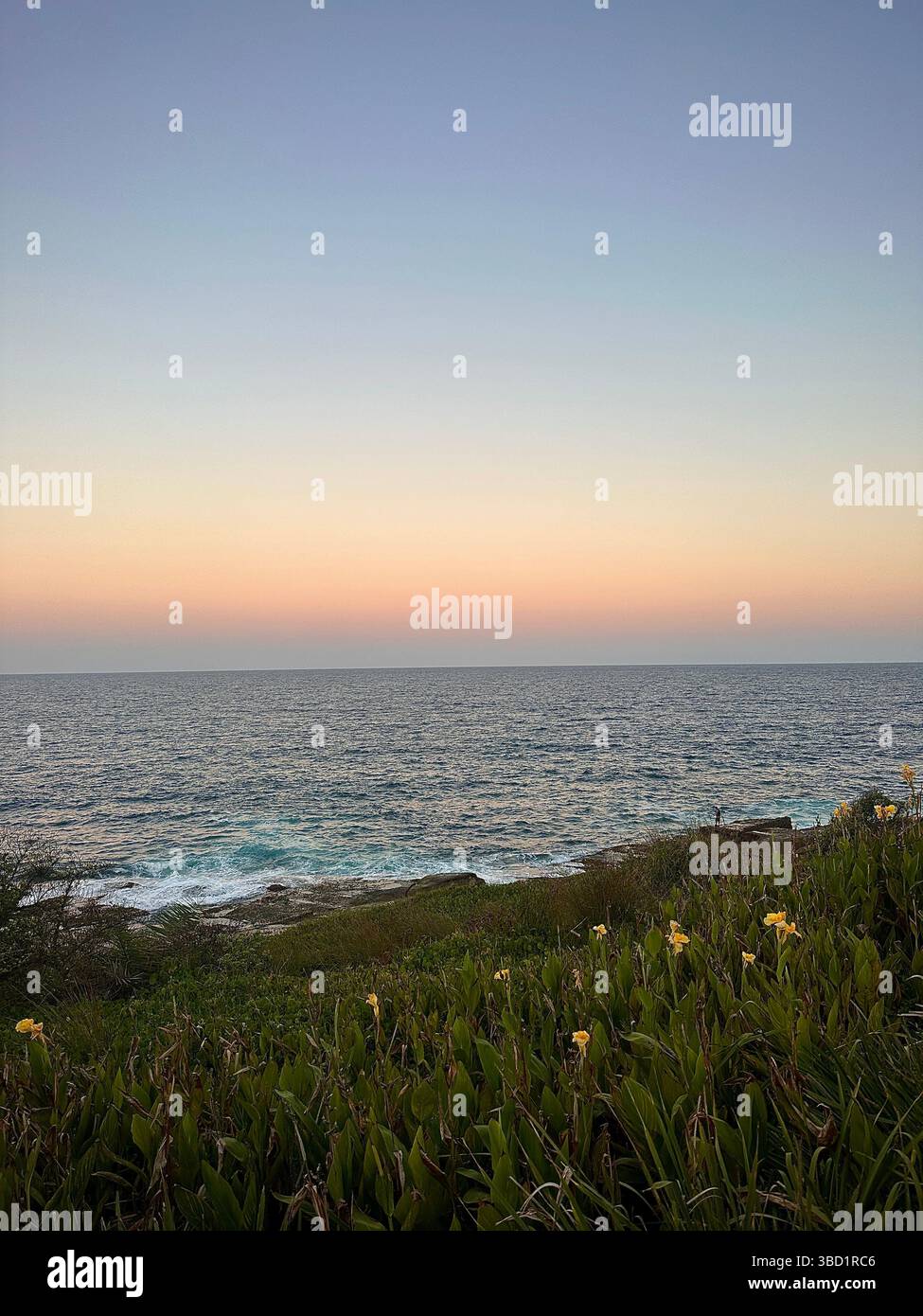 Fiori costieri selvaggi che incorniciano un tranquillo orizzonte oceanico sotto un morbido cielo color pastello al tramonto, una tranquilla scena naturale perfetta per rilassarsi e viaggiare inspira - Immagine stock catturata con smartphone