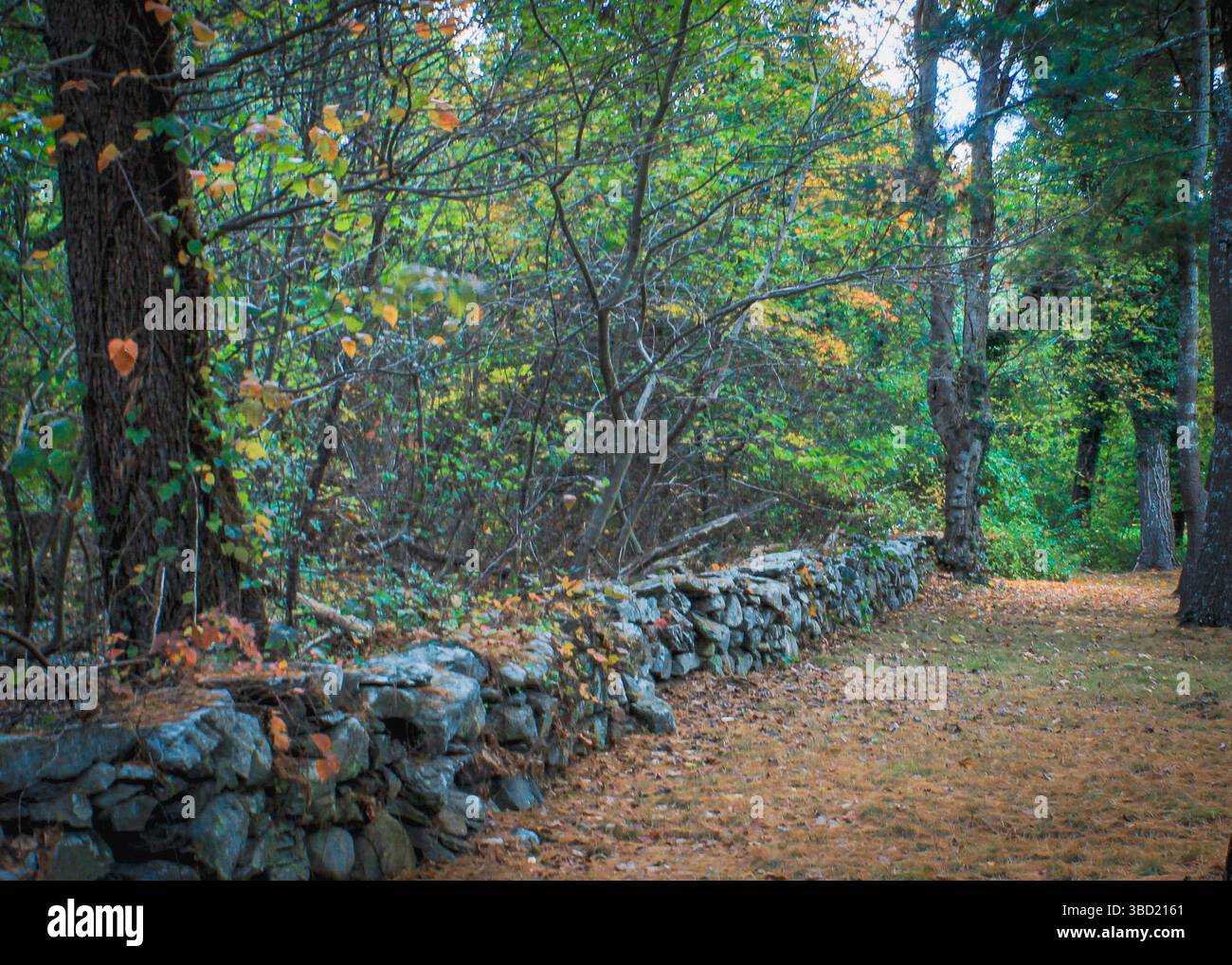 La magia autunnale del New England: Una strada sterrata si snoda oltre una parete di mattoni intemprati, che si illumina di colori autunnali. Pura bellezza rustica! Foto Stock