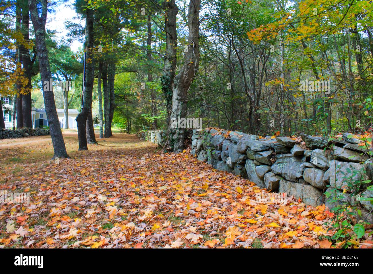 La magia autunnale del New England: Una strada sterrata si snoda oltre una parete di mattoni intemprati, che si illumina di colori autunnali. Pura bellezza rustica! Foto Stock