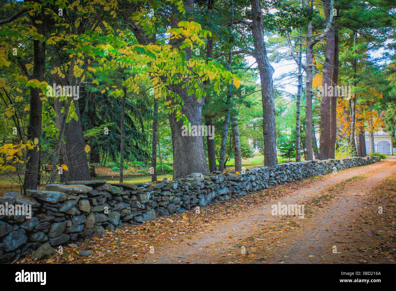 La magia autunnale del New England: Una strada sterrata si snoda oltre una parete di mattoni intemprati, che si illumina di colori autunnali. Pura bellezza rustica! Foto Stock
