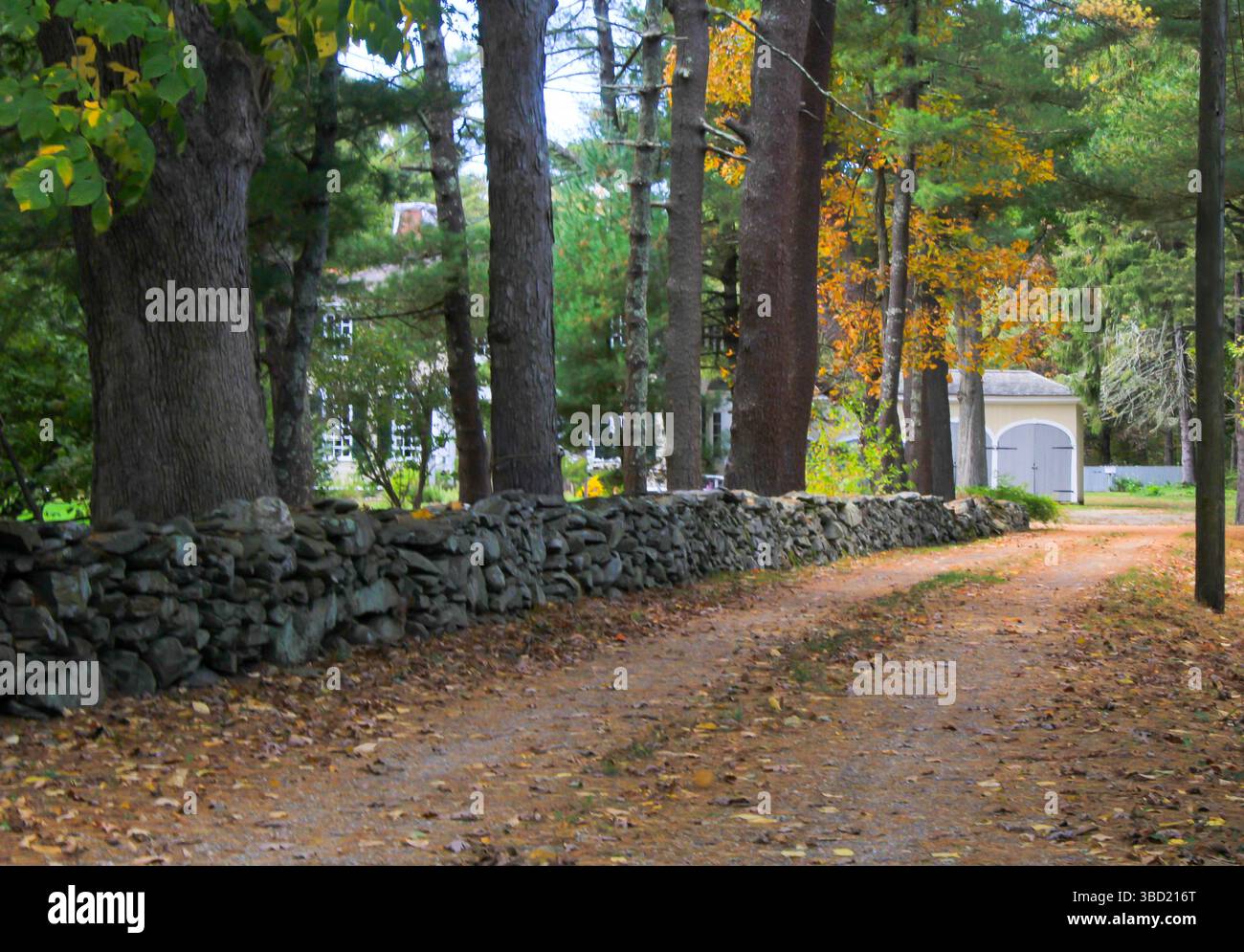 La magia autunnale del New England: Una strada sterrata si snoda oltre una parete di mattoni intemprati, che si illumina di colori autunnali. Pura bellezza rustica! Foto Stock