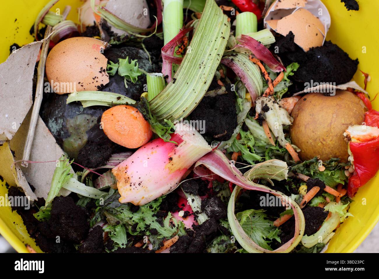 Compostaggio di scarti di cibo da cucina e fondi di caffè per l'uso in giardino Foto Stock