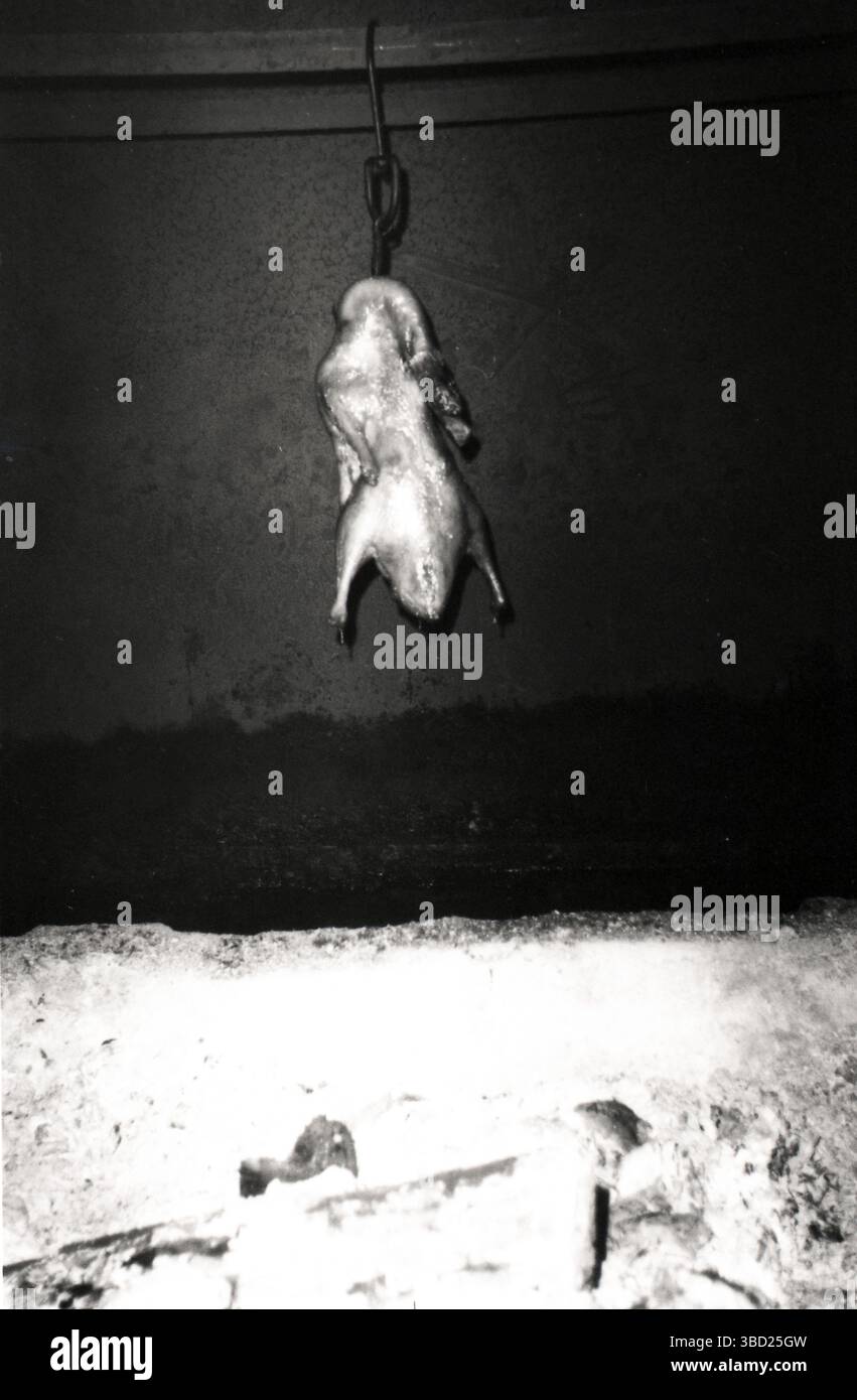 Film in bianco e nero degli anni '2010 Ritratto dell'anatra alla pechinese appesa Foto Stock