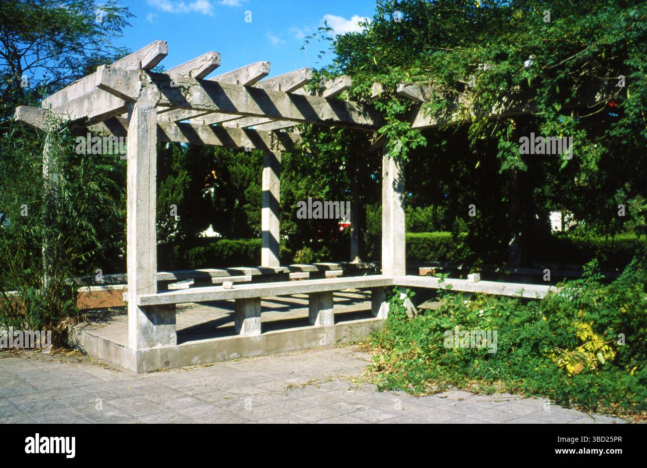 Ritratto cinematografico a colori di Pergola Wisteria in stile anni '1980 in un giardino cinese Foto Stock