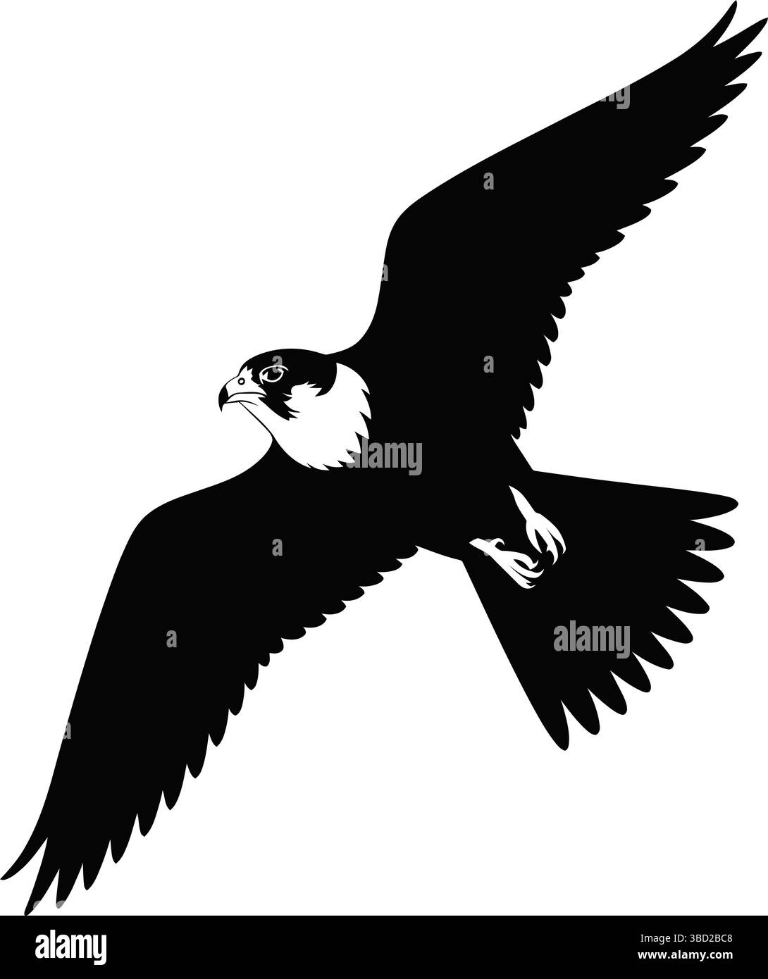 Elegante Falcon con con silhouette nera nell'illustrazione Flight Vector Illustrazione Vettoriale