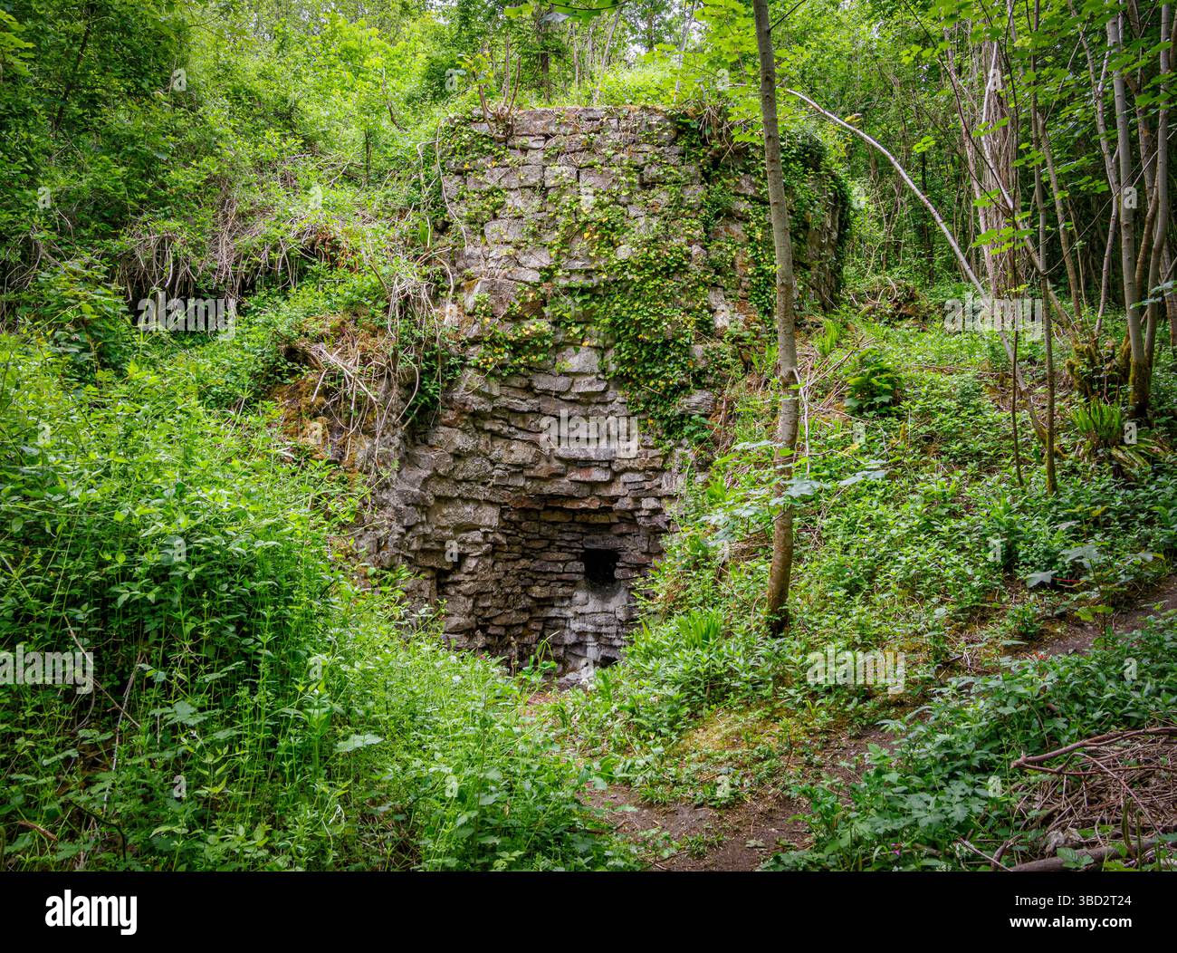 Resti di vecchie fornaci di calce nella profonda valle di Vallis vale vicino a Frome nel Somerset, Regno Unito Foto Stock