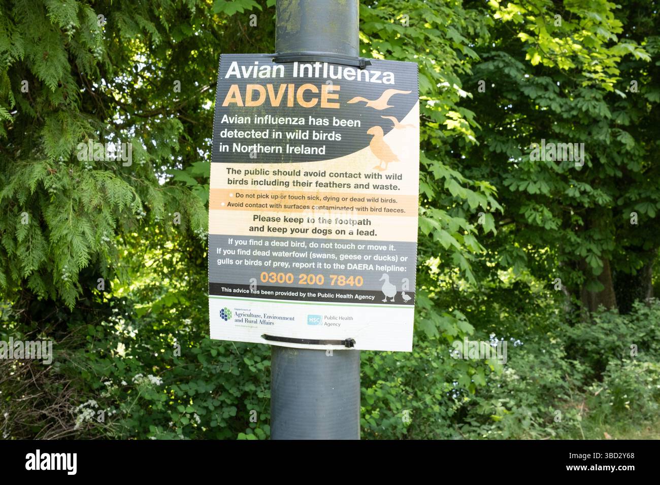 Antrim, Irlanda del Nord - 20 maggio 2025: Manifesto di informazione pubblica sull'influenza aviaria, sui giardini del castello di Antrim Foto Stock Antrim, Irlanda del Nord - 20 maggio 2025: Manifesto di informazione pubblica sull'influenza aviaria, sui giardini del castello di Antrim Foto Stock