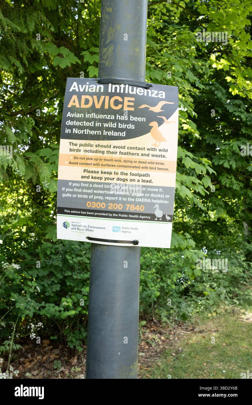Antrim, Irlanda del Nord - 20 maggio 2025: Manifesto di informazione pubblica sull'influenza aviaria, sui giardini del castello di Antrim Foto Stock Antrim, Irlanda del Nord - 20 maggio 2025: Manifesto di informazione pubblica sull'influenza aviaria, sui giardini del castello di Antrim Foto Stock