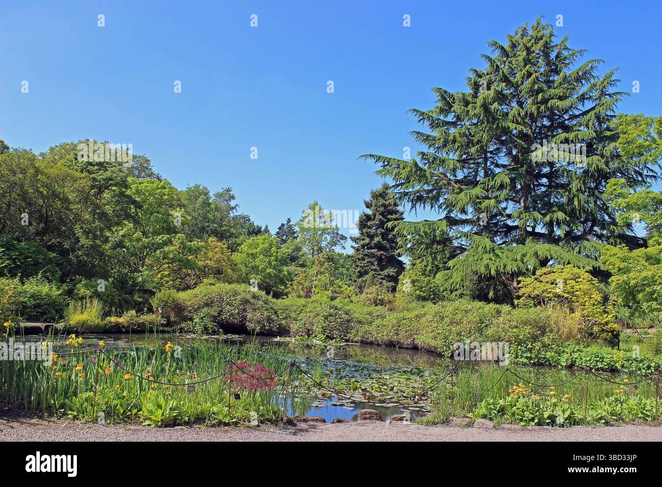 Ness Botanic Gardens - Rock Garden Pond Foto Stock