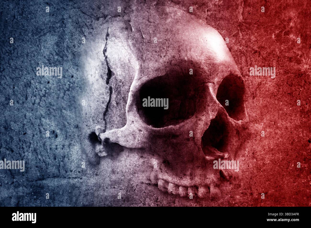 cranio umano crudo, concetto di morte Foto Stock