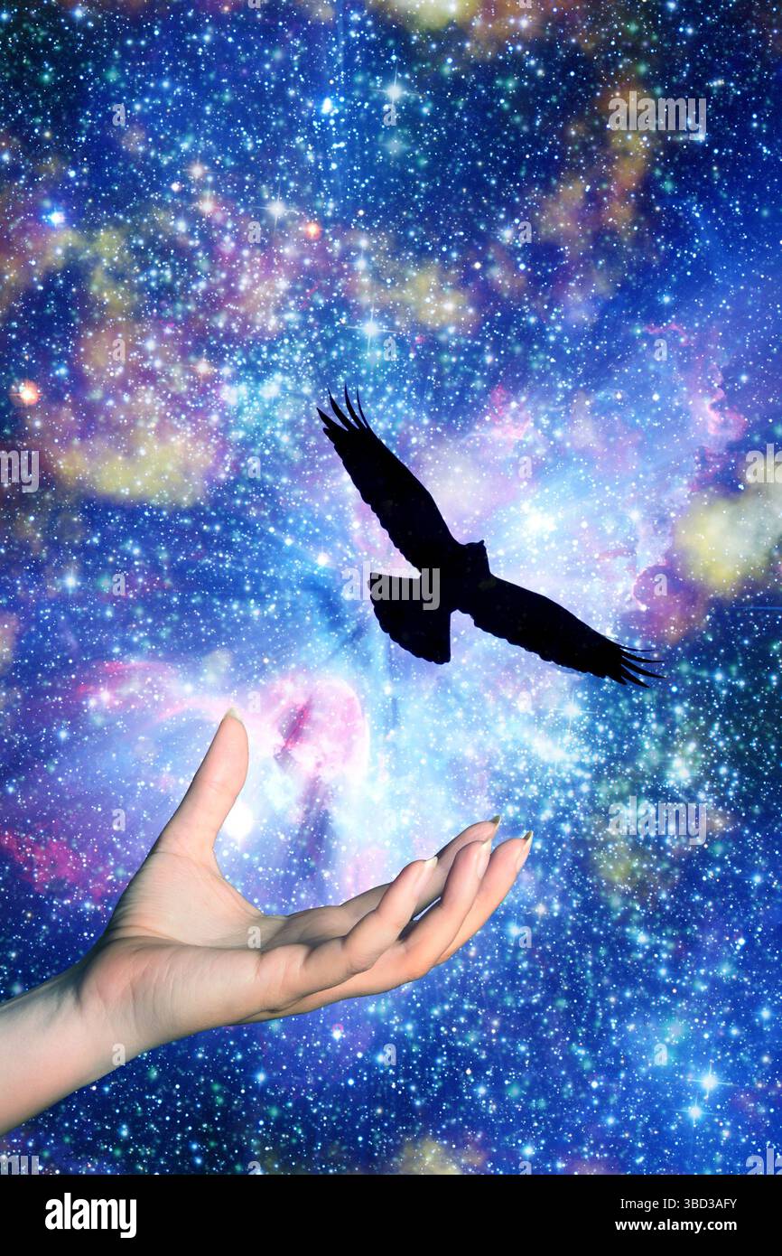 mano femminile e uccello che volano via, con uno sfondo universo stellato Foto Stock