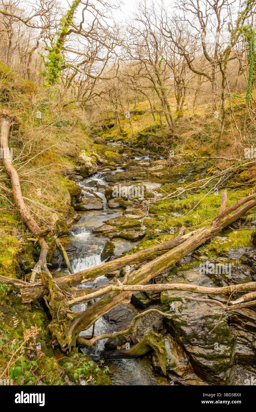 Cascata sull'Afon Cynfal vicino a Ffestiniog nel Galles del Nord Foto Stock