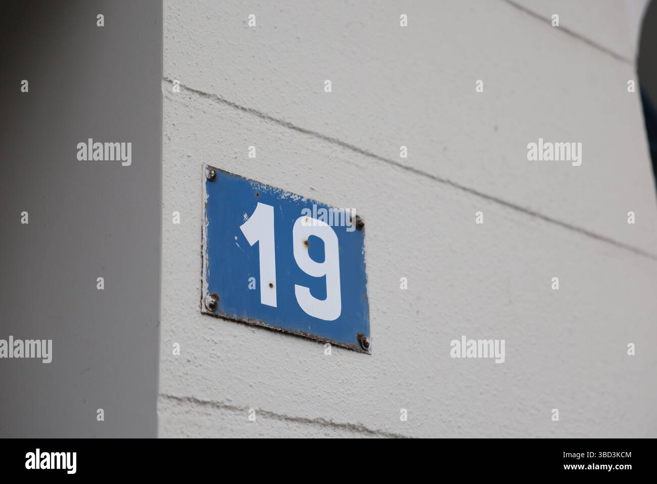 Un segno blu rettangolare con il numero "19" è fissato saldamente su una parete testurizzata di colore chiaro utilizzando quattro viti, una in ogni angolo. Foto Stock