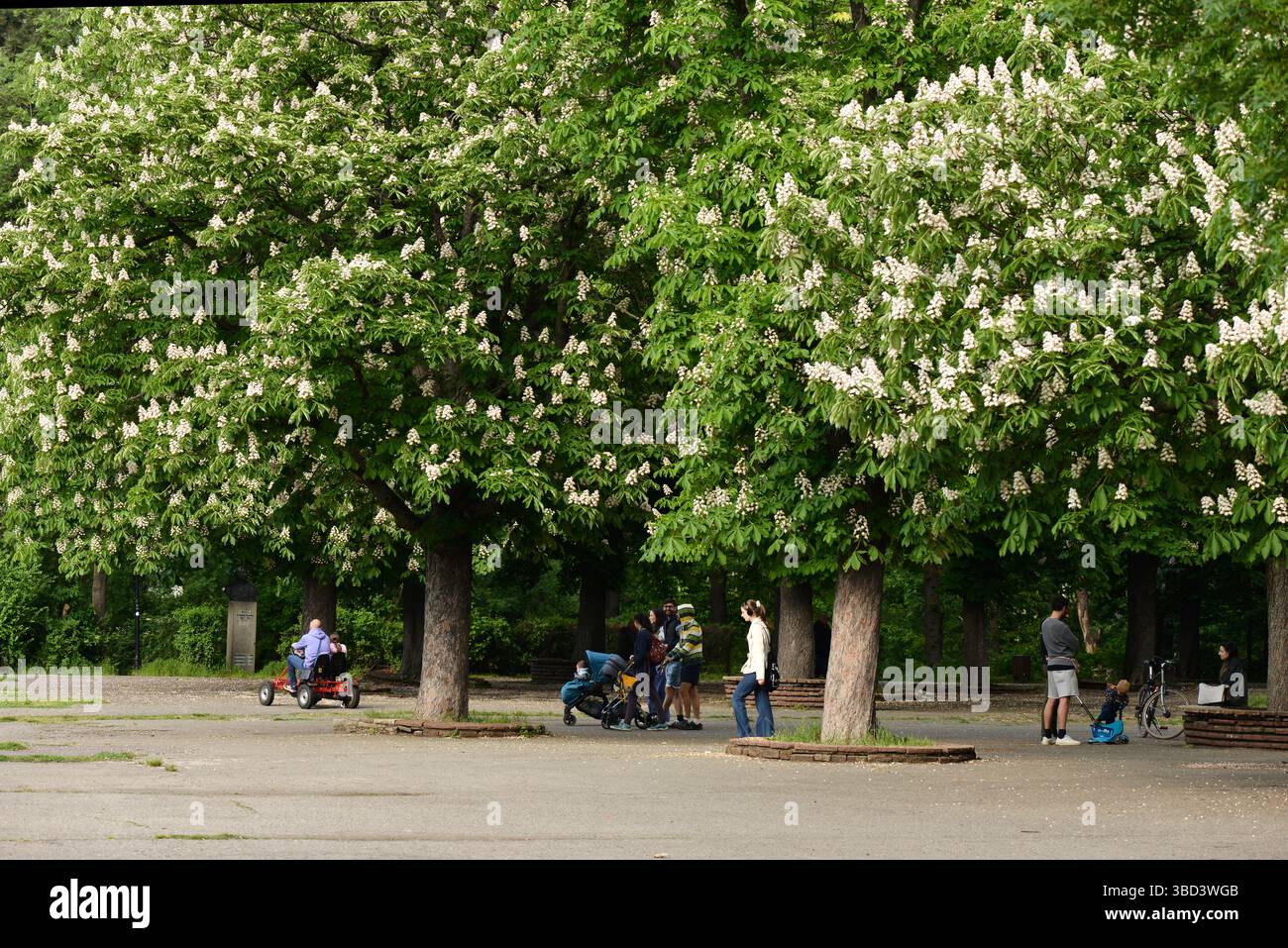 Le persone trascorrono un tranquillo pomeriggio primaverile a Sofia, Bulgaria, godendosi l'aria fresca e gli alberi in fiore in uno dei parchi pubblici verdi della città, i Balcani, l'UE Foto Stock