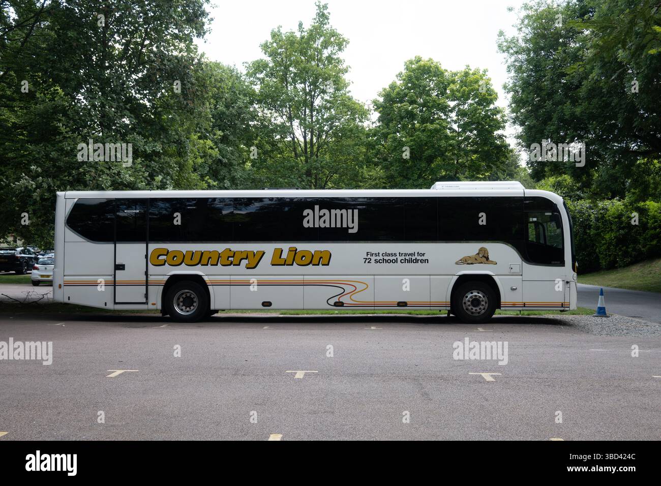 Pullman Country Lion al Castello di Warwick, Inghilterra, Regno Unito Foto Stock