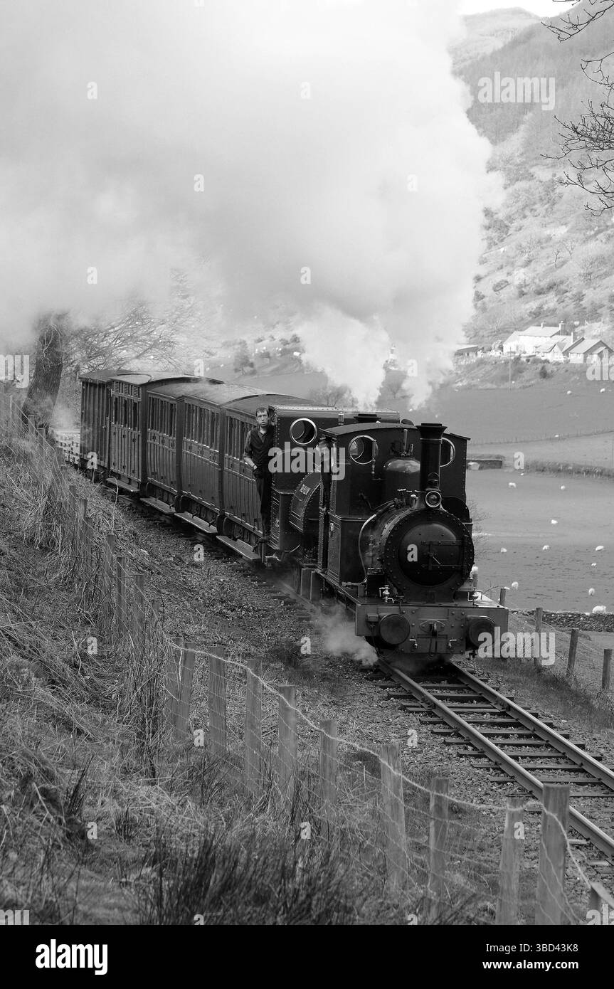 "Dolgoch" doppia direzione con "Talyllyn" tra Quarry Siding e Abergynolwyn. Foto Stock