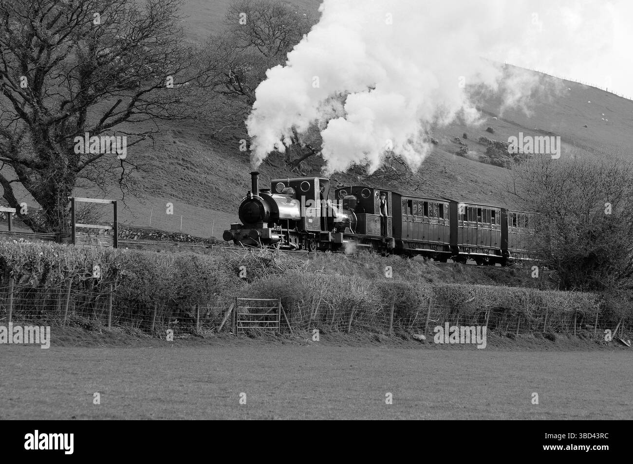 "Talyllyn" doppia voce con "Dolgoch" appena ad est di Brynglas. Foto Stock