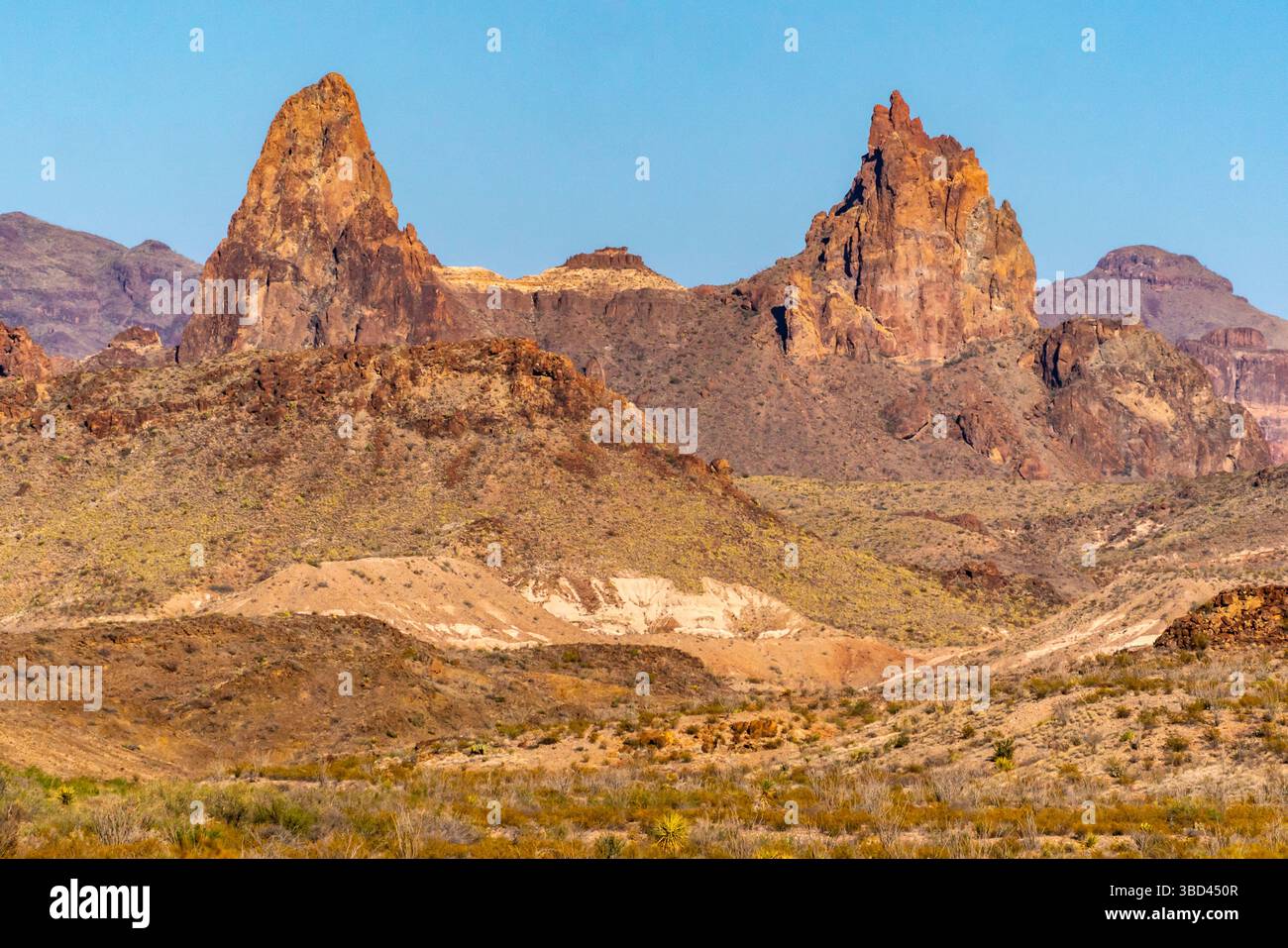 Stati Uniti, Texas, Big Bend National Park. Formazione di orecchie di mulo nei monti Chisos. Foto Stock