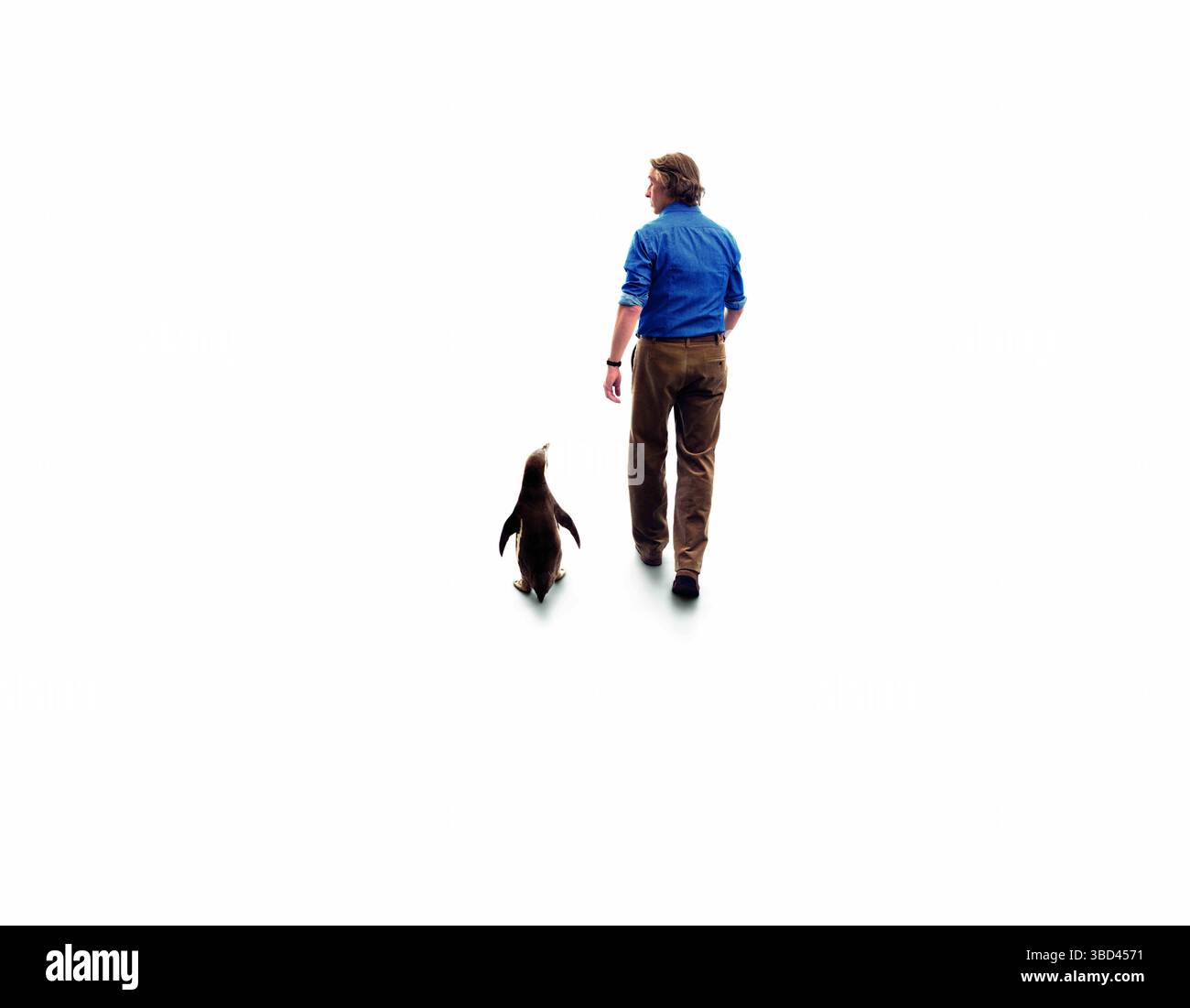 The Penguin Lessons (2024) POSTER ART con Steve Coogan *Filmstill - solo per uso editoriale* Vedi istruzioni speciali. CAP/UFS immagine fornita da Capital P Foto Stock