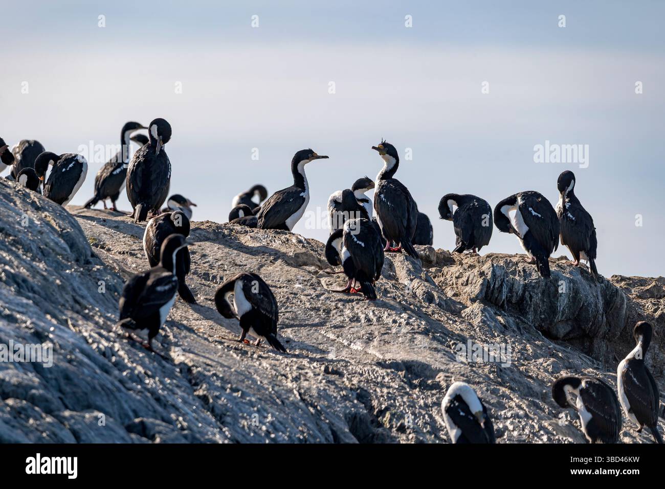 Faro Les Éclaireurs. Ushuaia, alla Terra del fuoco, alla fine del mondo. Argentina meridionale Foto Stock