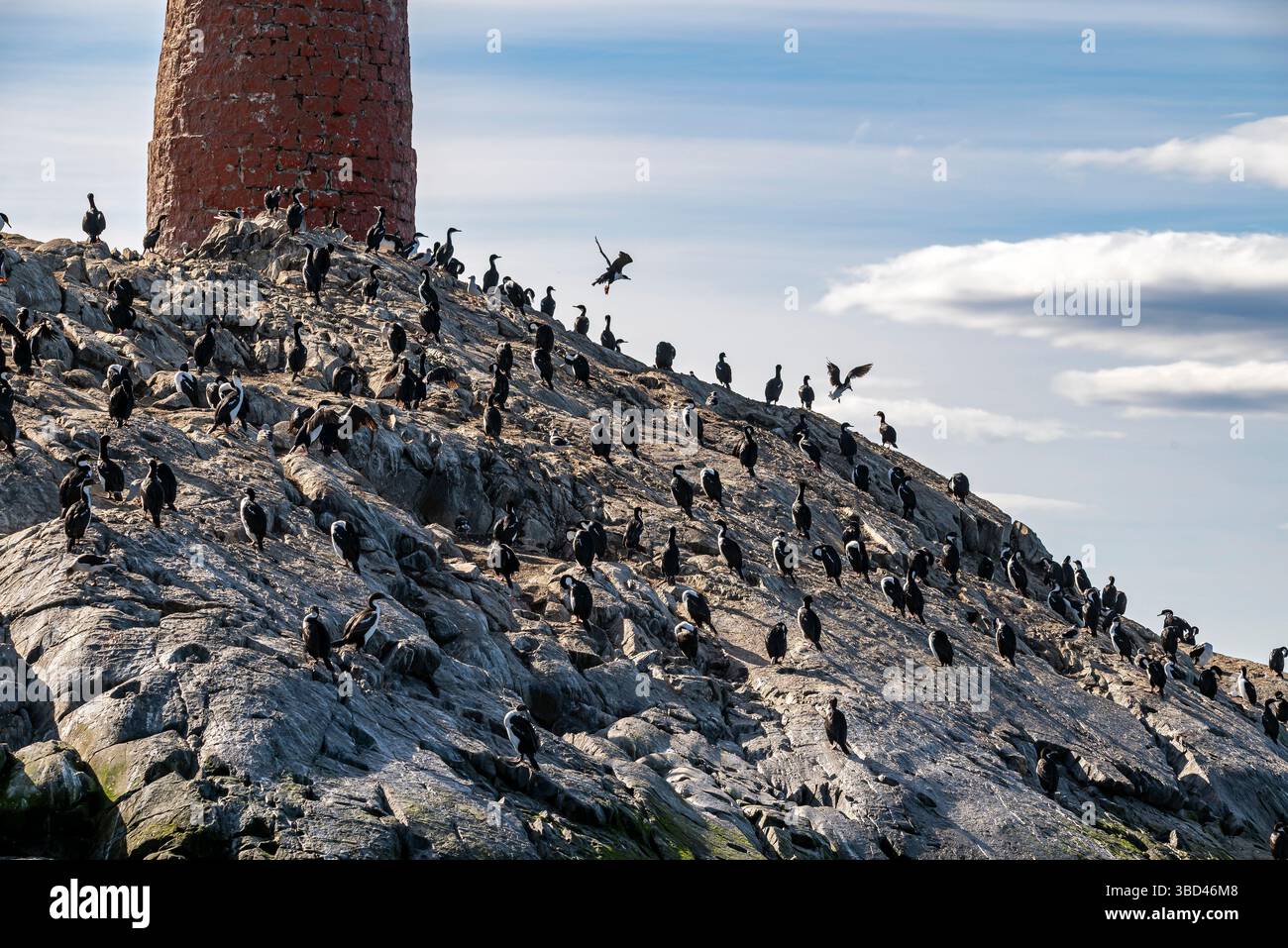Faro Les Éclaireurs. Ushuaia, alla Terra del fuoco, alla fine del mondo. Argentina meridionale Foto Stock