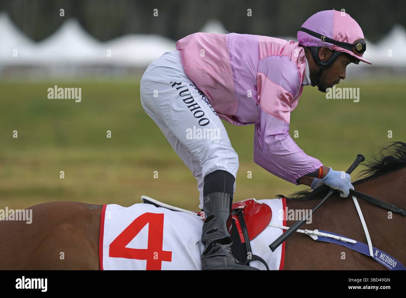 KUMARA, NUOVA ZELANDA, 8 GENNAIO 2022: jockey Rohan Mudhoo si scalda per una gara alla gara dei Golden Nuggets al Kumara Race Track, 8 gennaio 2 Foto Stock